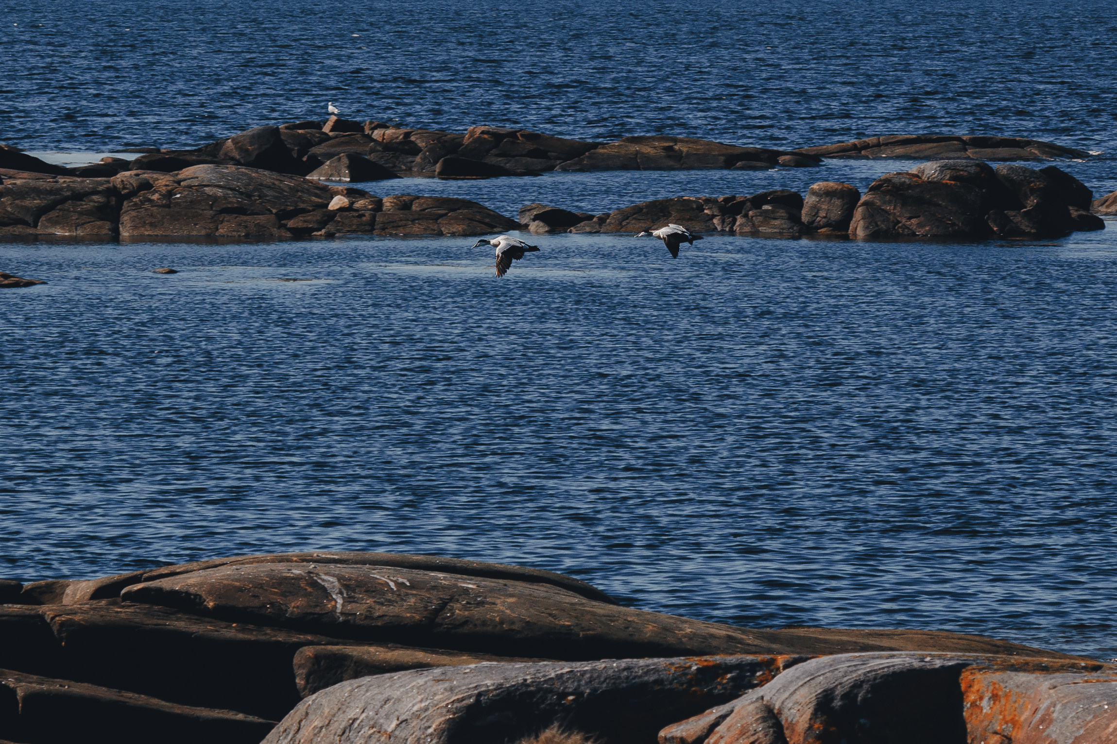 Кий остров. Фотограф — путешественник Светлана Романовская