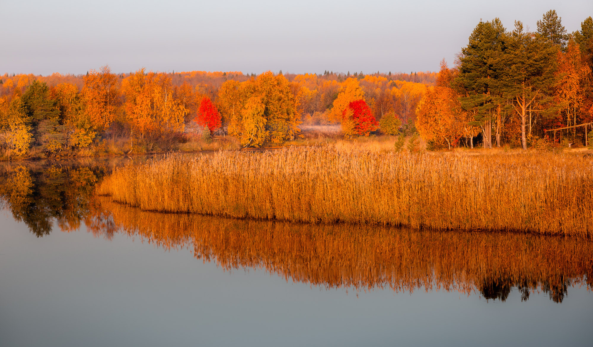Ненокса. Фотограф — путешественник Светлана Романовская