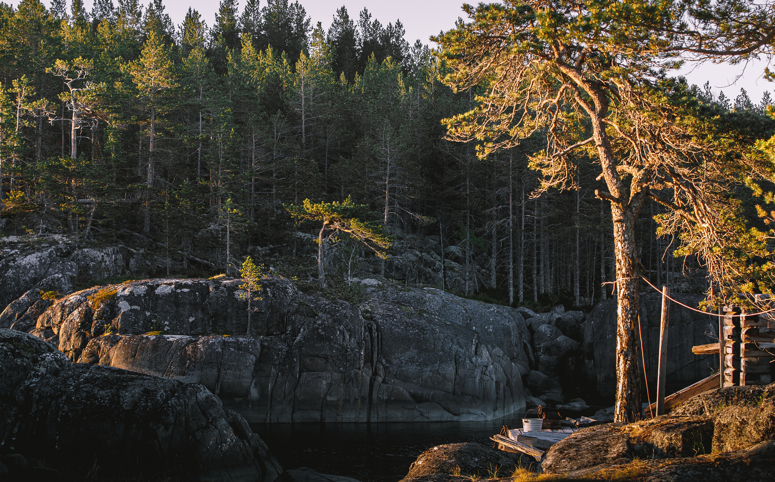 Сосны склонилист над бухтой в Белом море.Эмалированные ведра на мостках, верёвка для сушки одежды. 