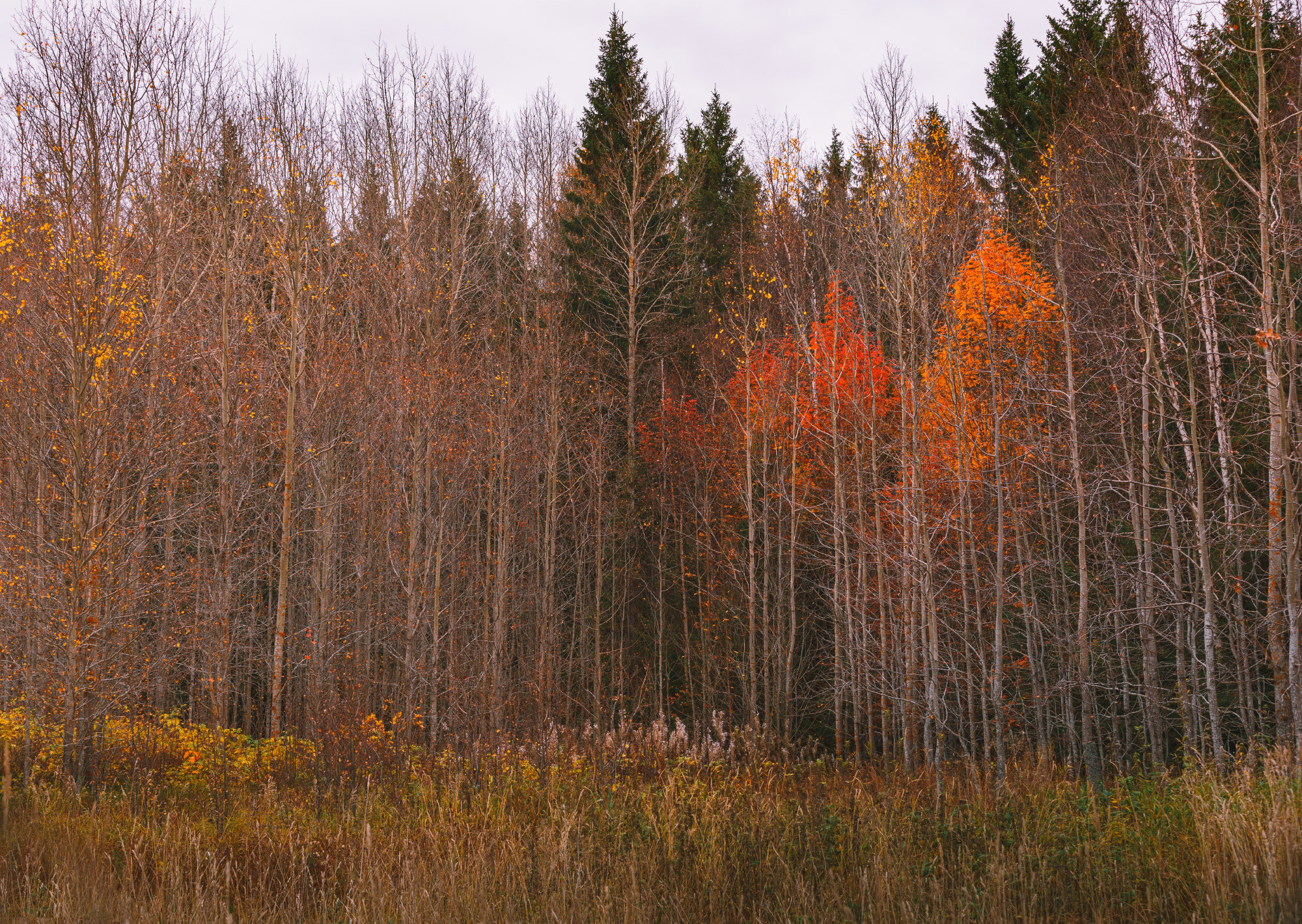 Ненокса. Фотограф — путешественник Светлана Романовская