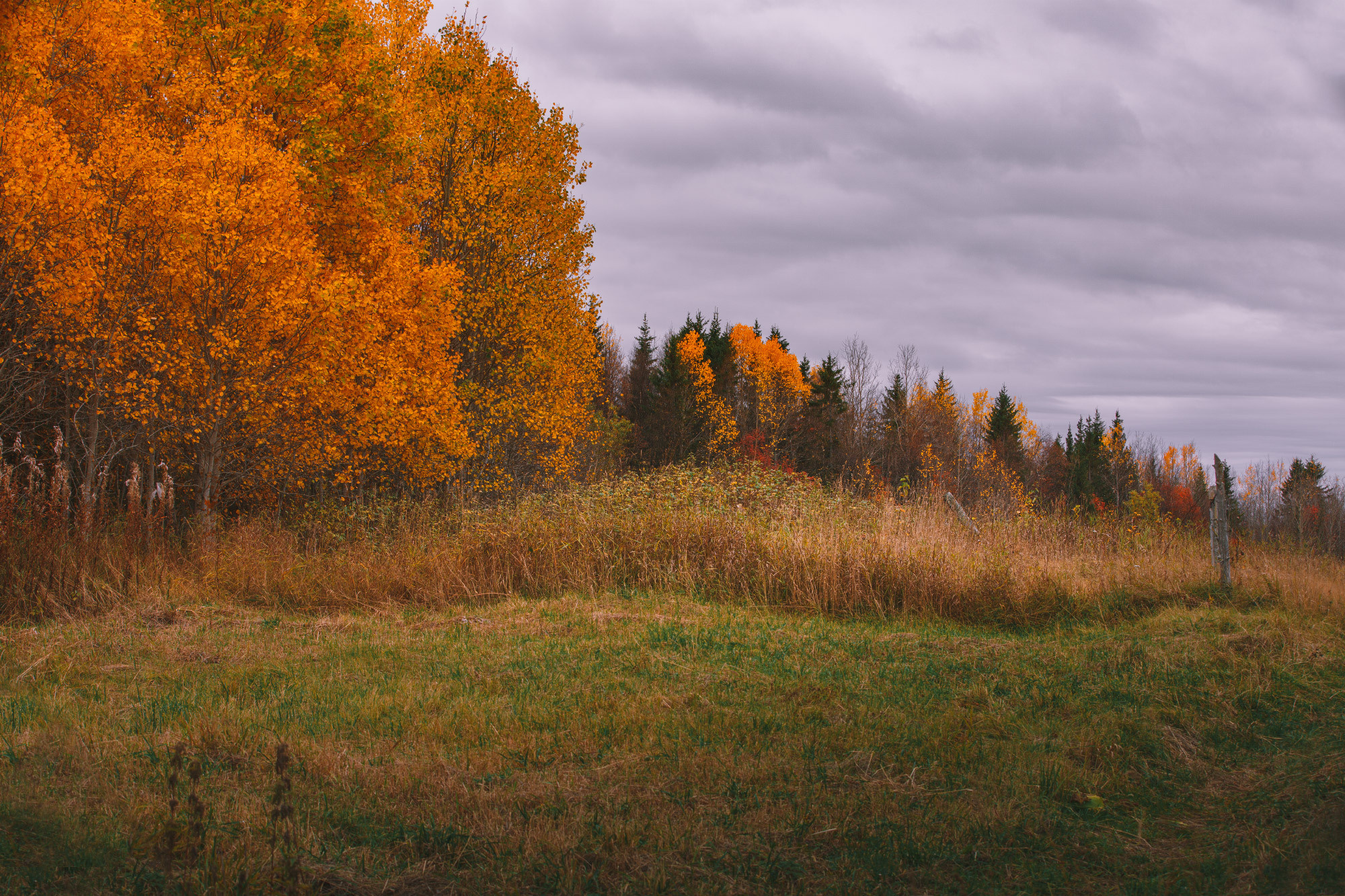 Ненокса. Фотограф — путешественник Светлана Романовская