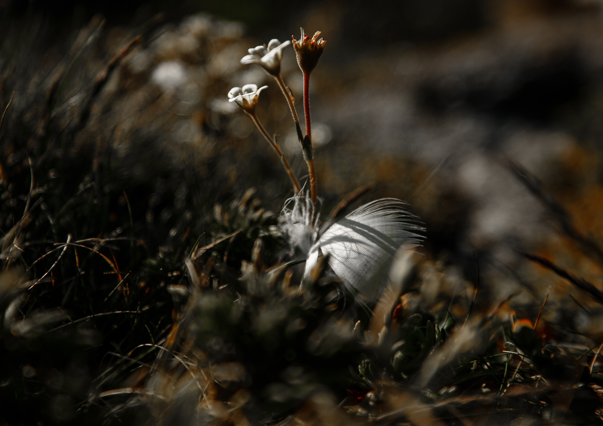 Кий остров. Фотограф — путешественник Светлана Романовская