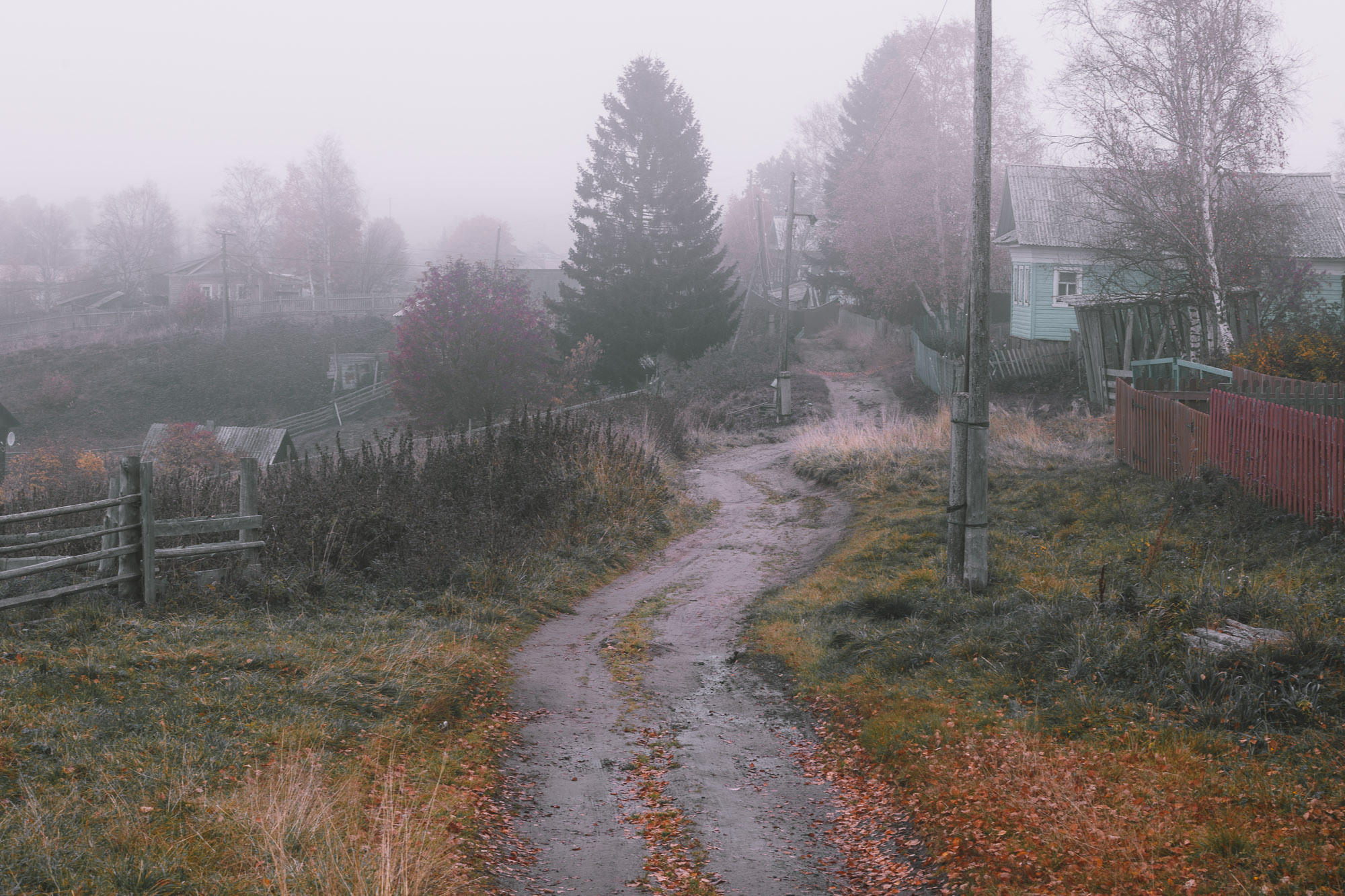 Ненокса. Фотограф — путешественник Светлана Романовская
