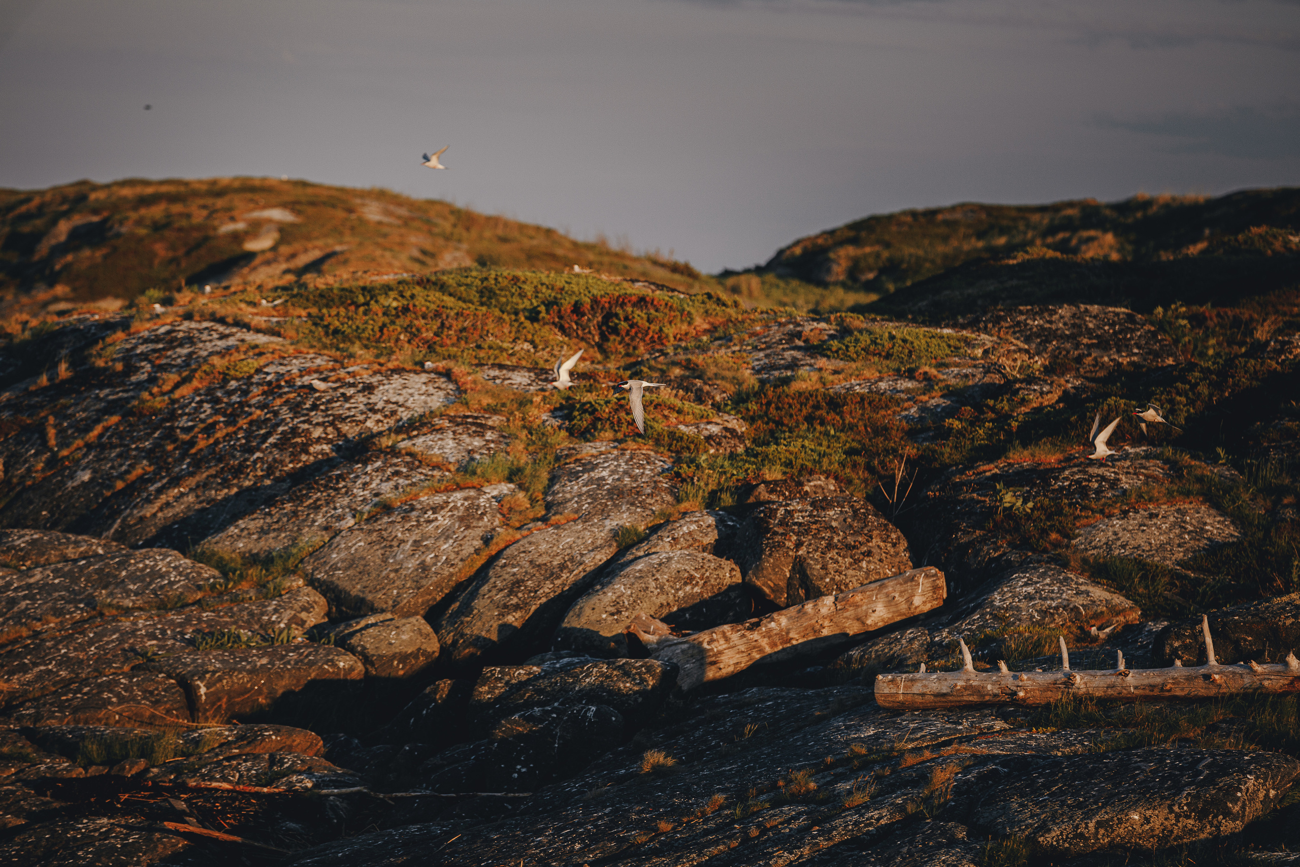 Кий остров. Фотограф — путешественник Светлана Романовская