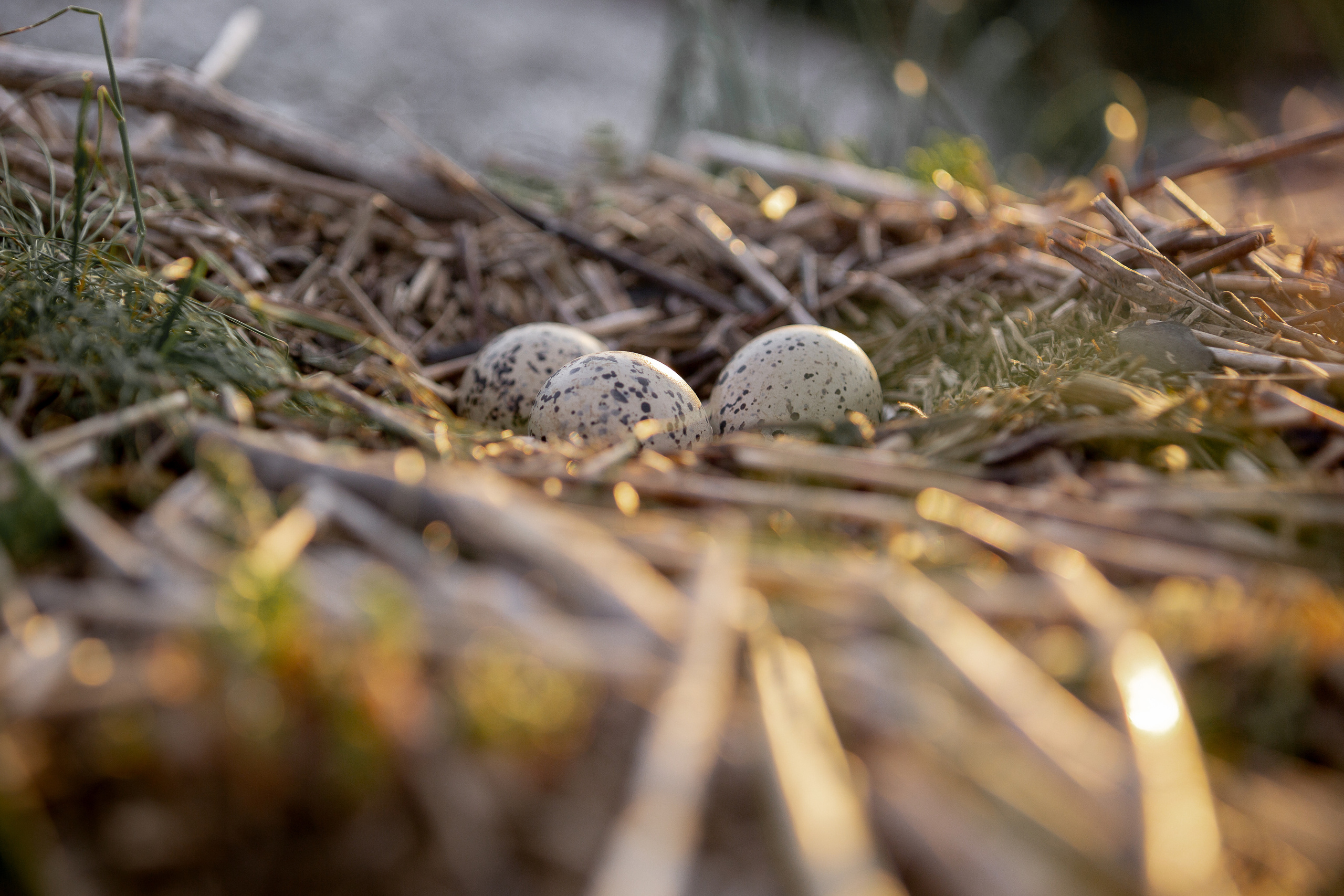 Кий остров. Фотограф — путешественник Светлана Романовская