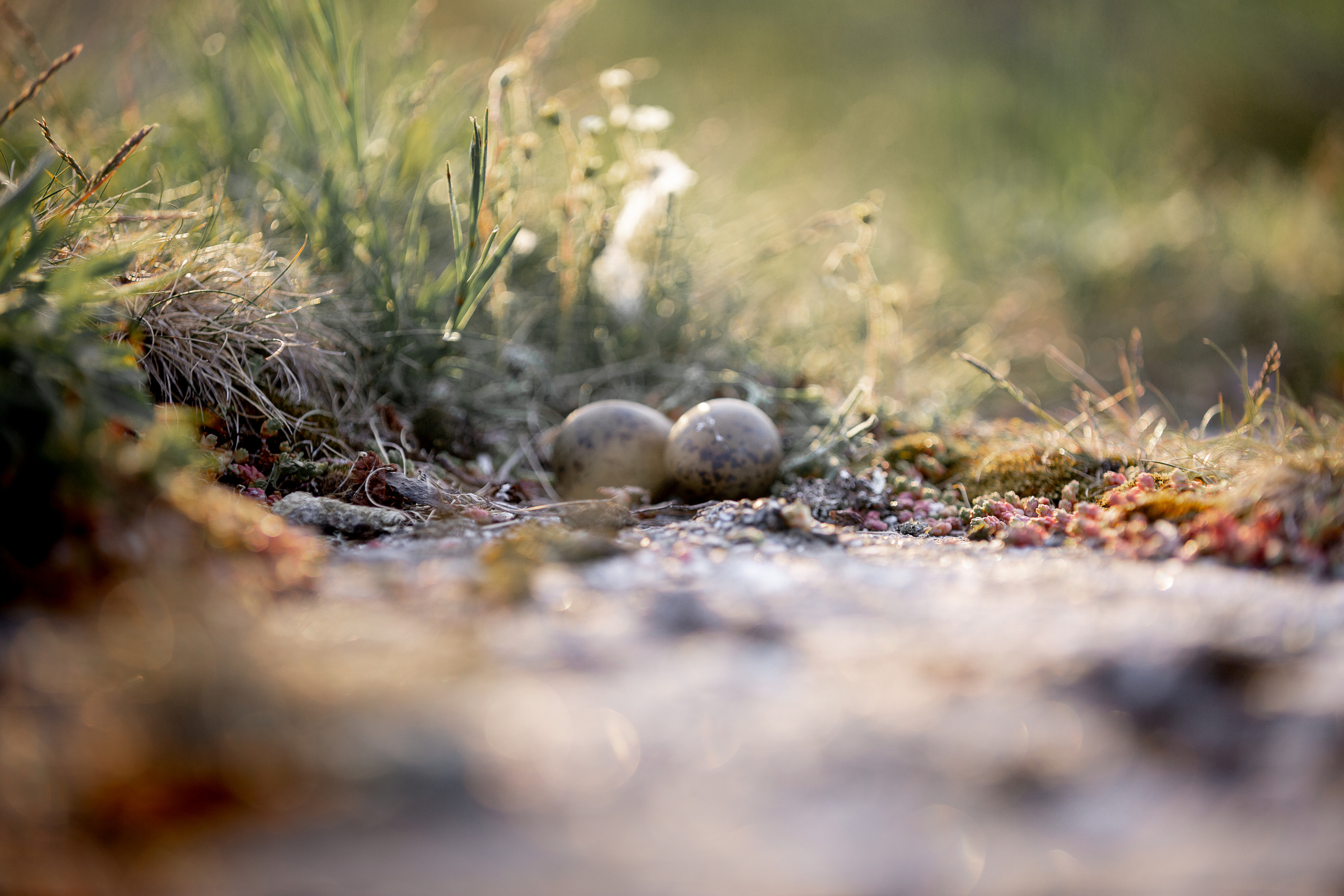 Кий остров. Фотограф — путешественник Светлана Романовская