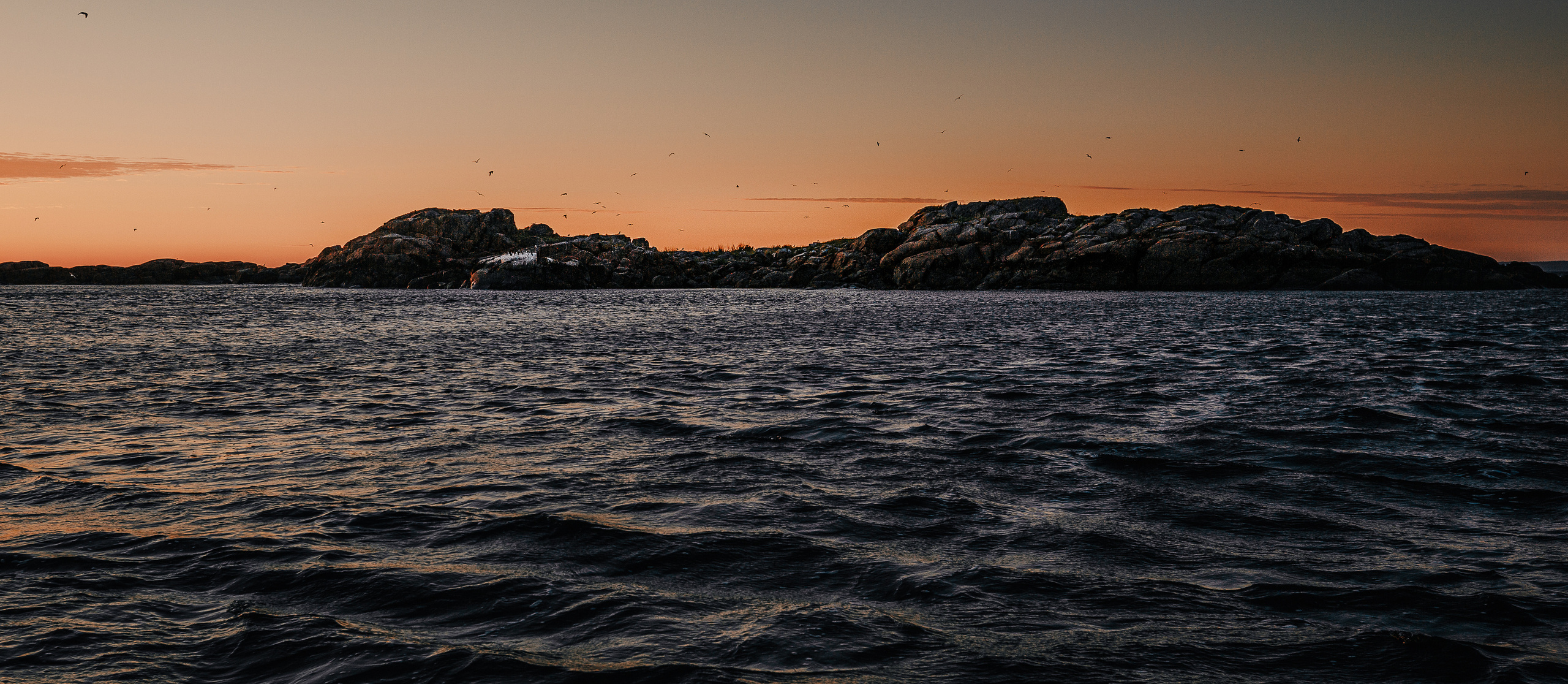 Кий остров. Фотограф — путешественник Светлана Романовская