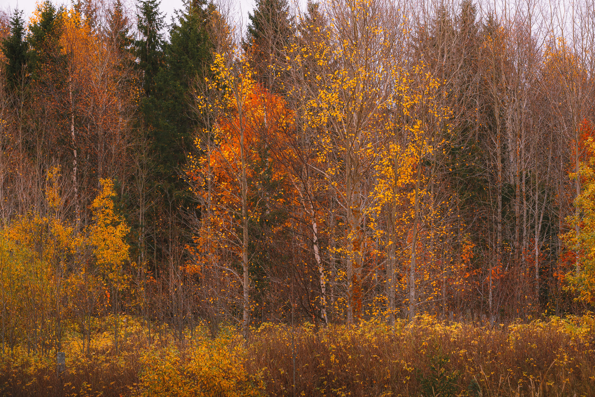 Ненокса. Фотограф — путешественник Светлана Романовская