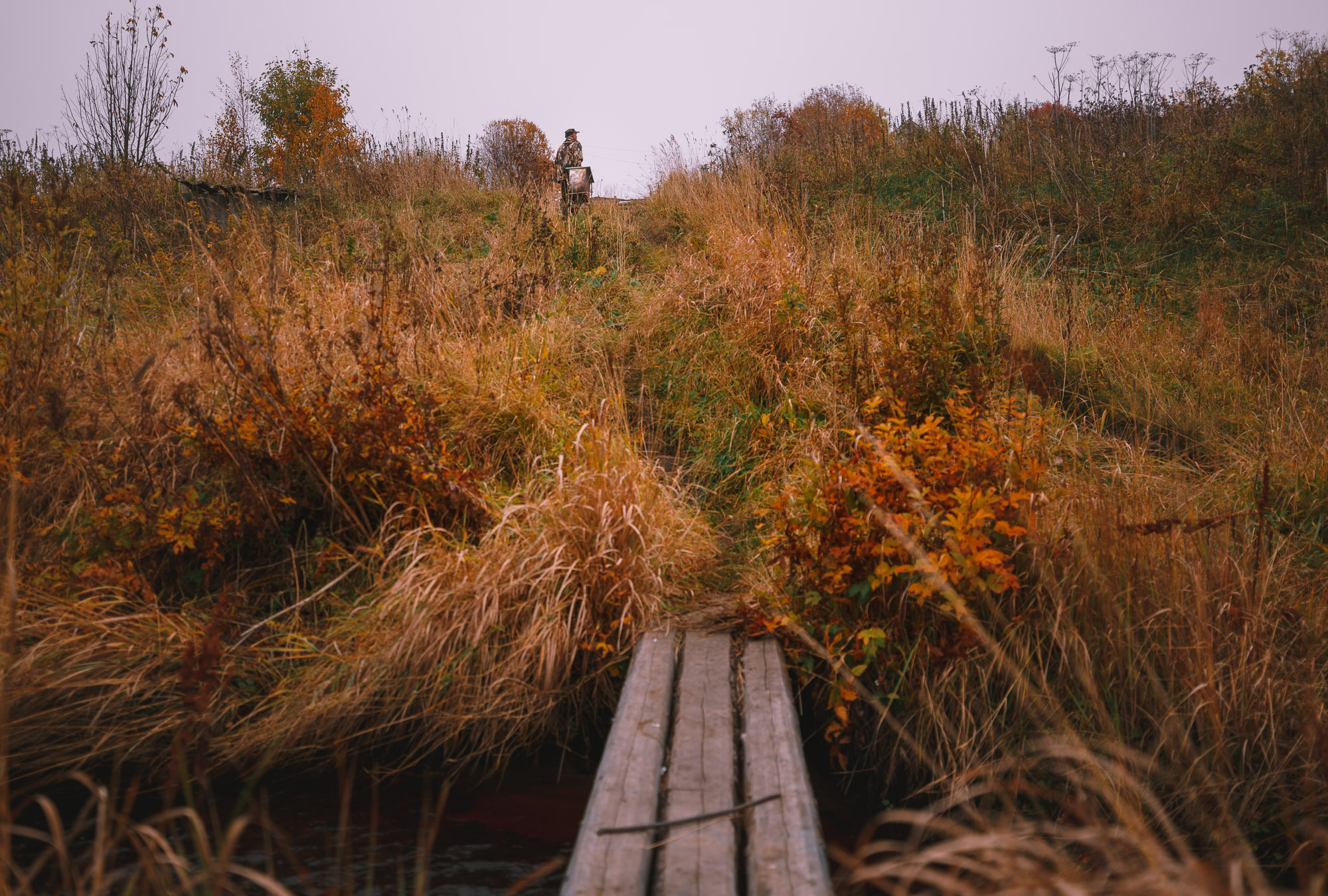 деревянные мостки через ручей жёлтой осенней траве. 