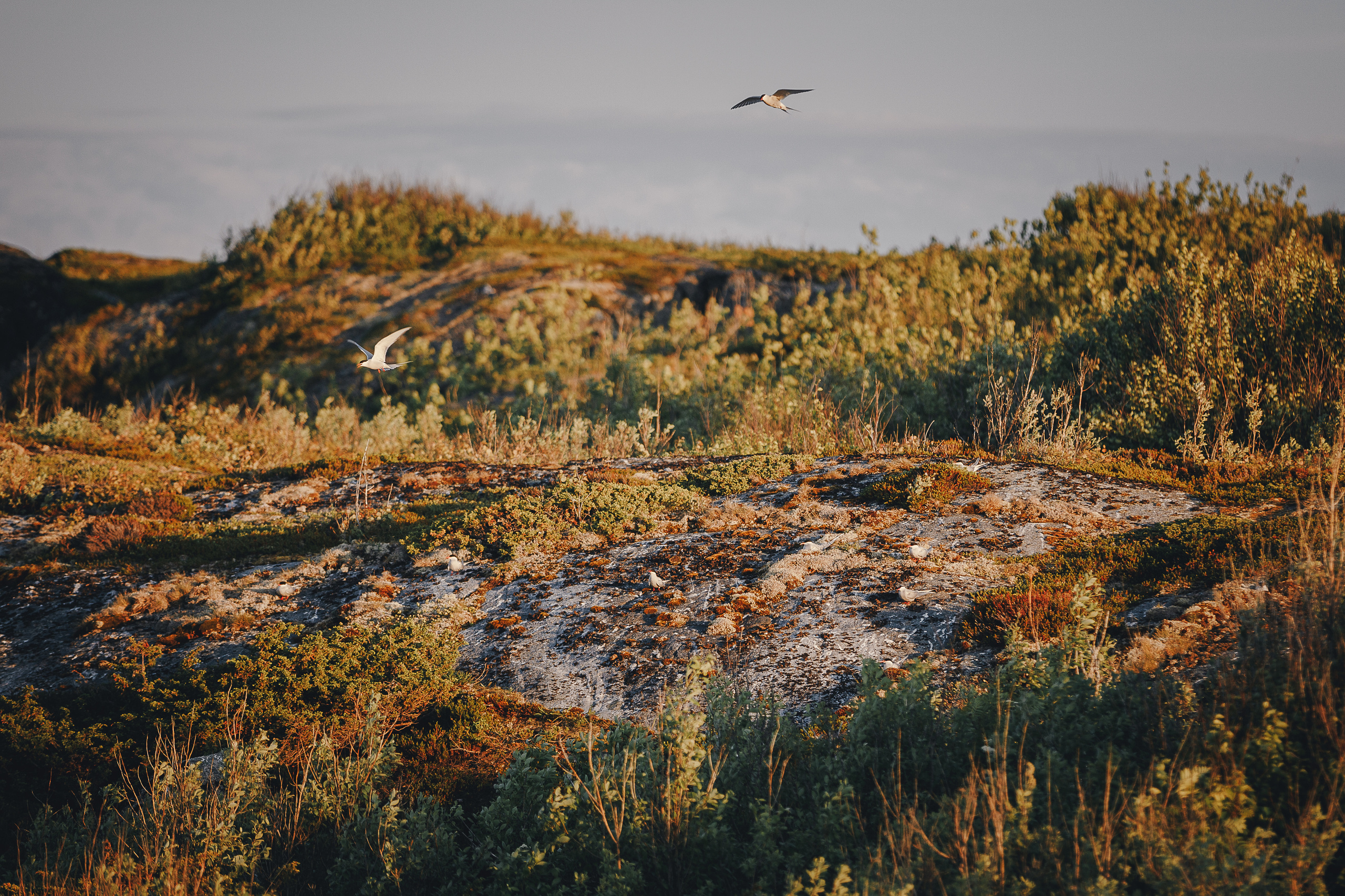 Кий остров. Фотограф — путешественник Светлана Романовская