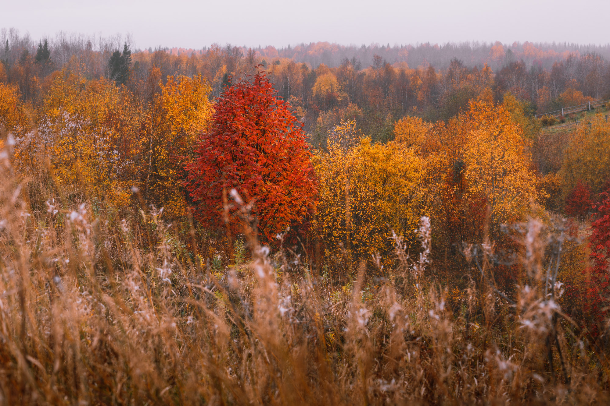 Осенний пейзаж поморского села. 