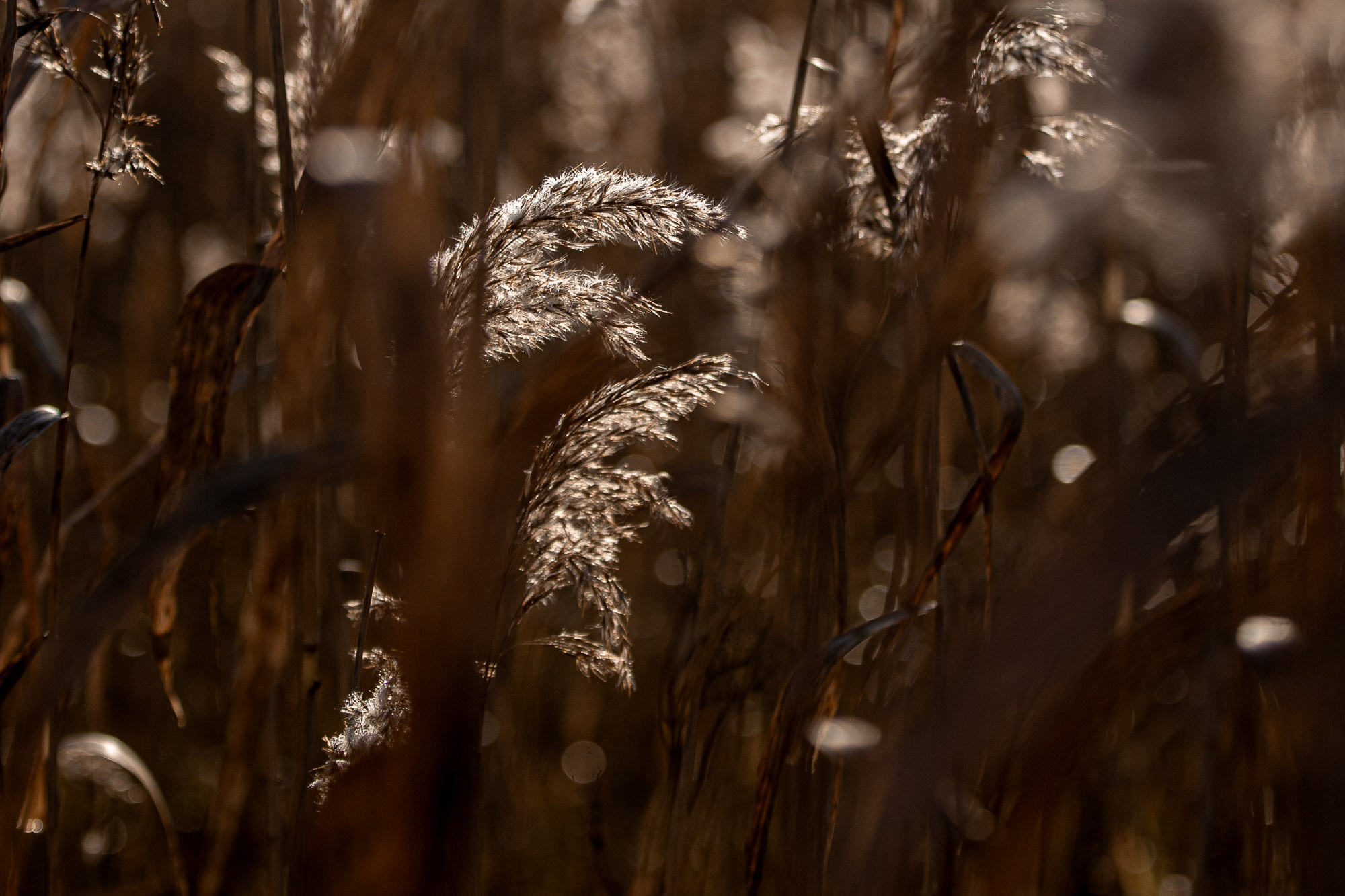 Ненокса. Фотограф — путешественник Светлана Романовская