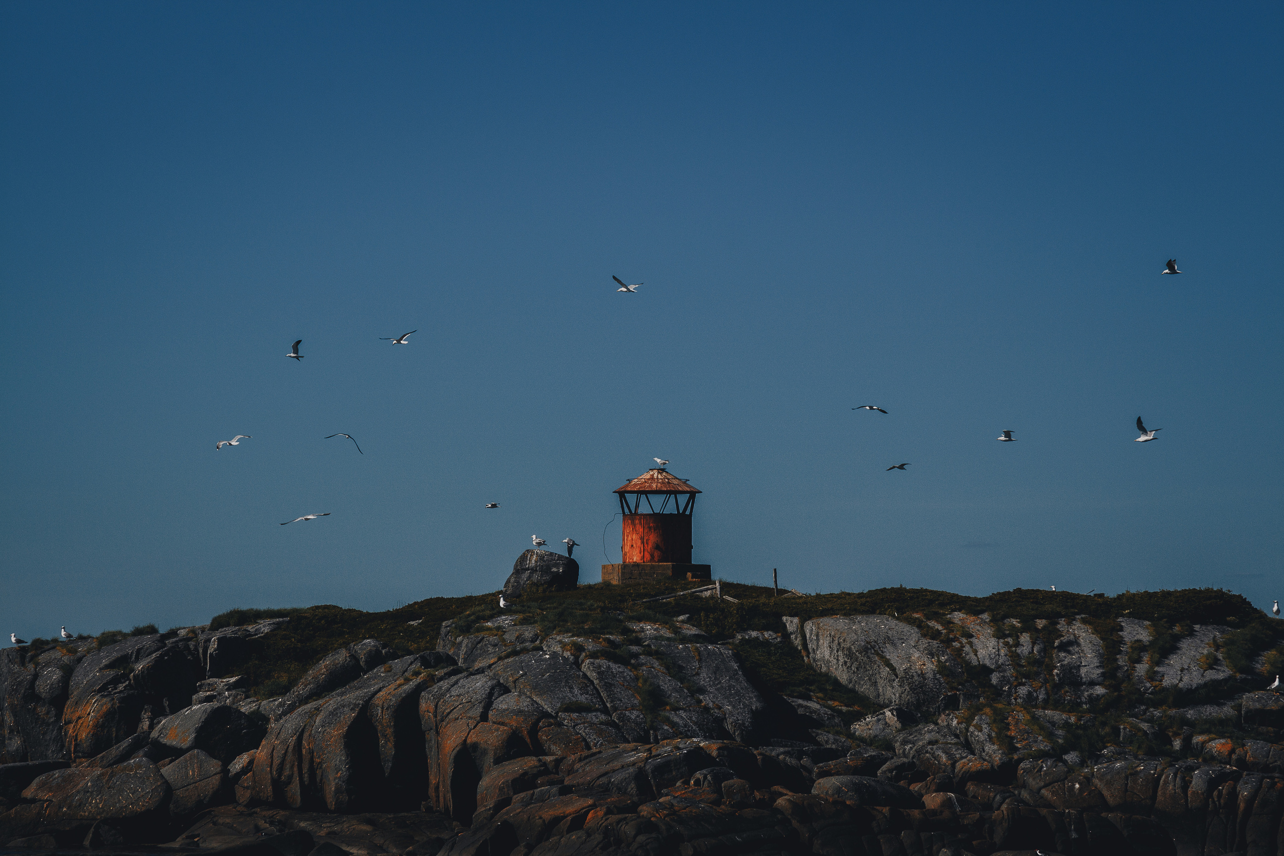 Кий остров. Фотограф — путешественник Светлана Романовская