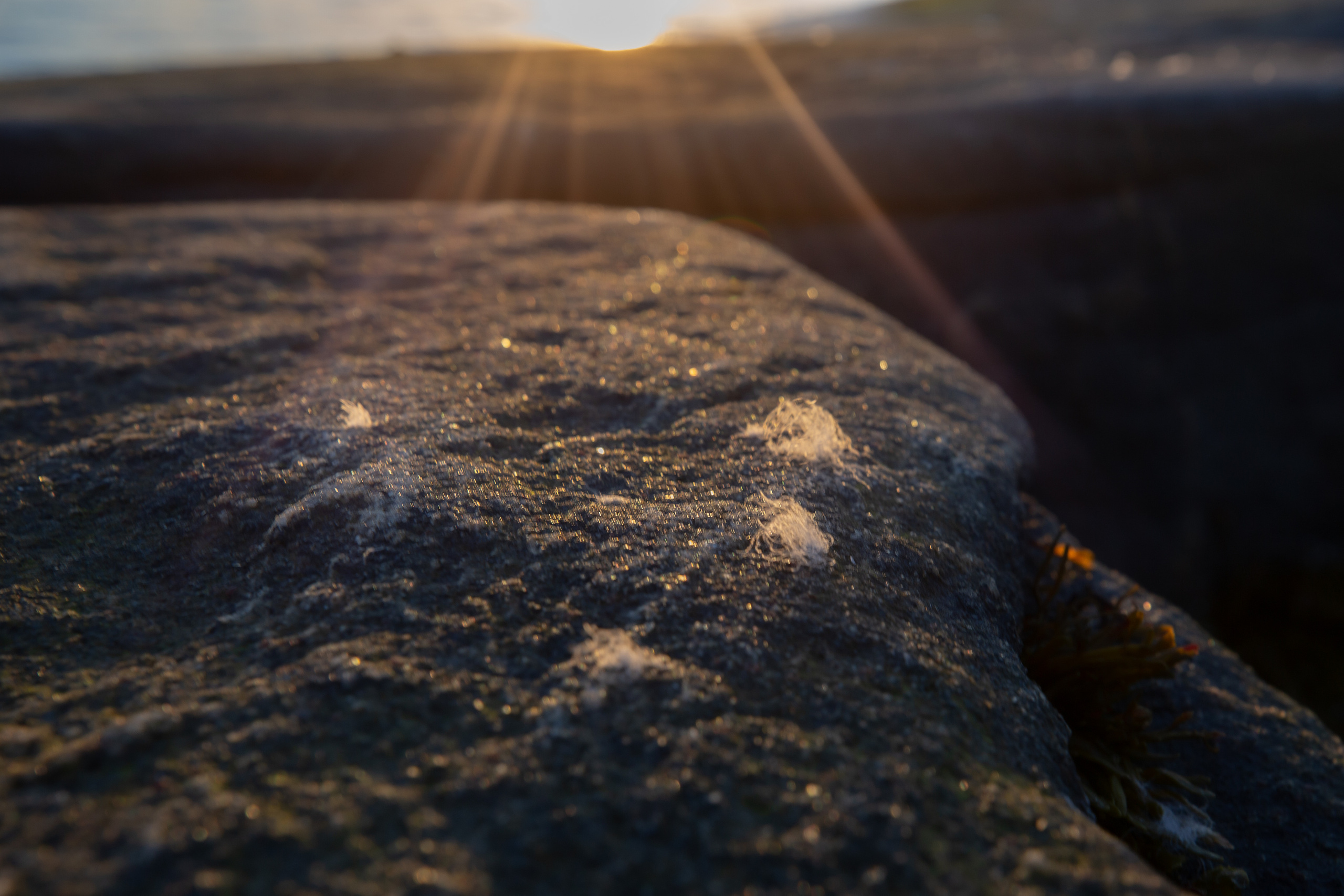Кий остров. Фотограф — путешественник Светлана Романовская