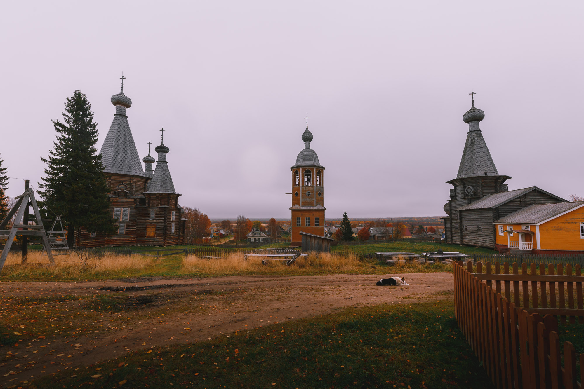 Собака спит на дороге перед храмовый комплеком в селе Ненокса. 