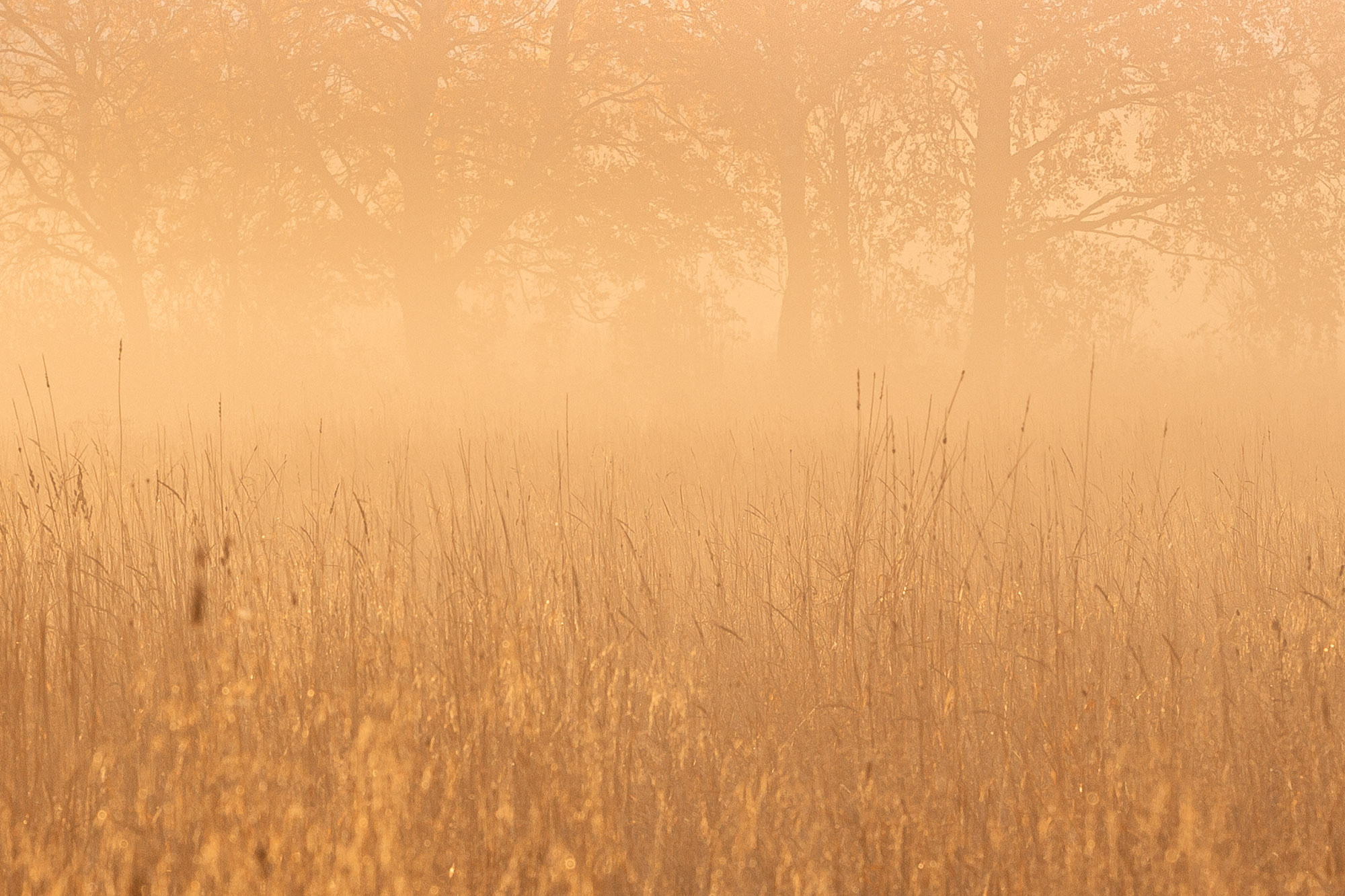 Ненокса. Фотограф — путешественник Светлана Романовская