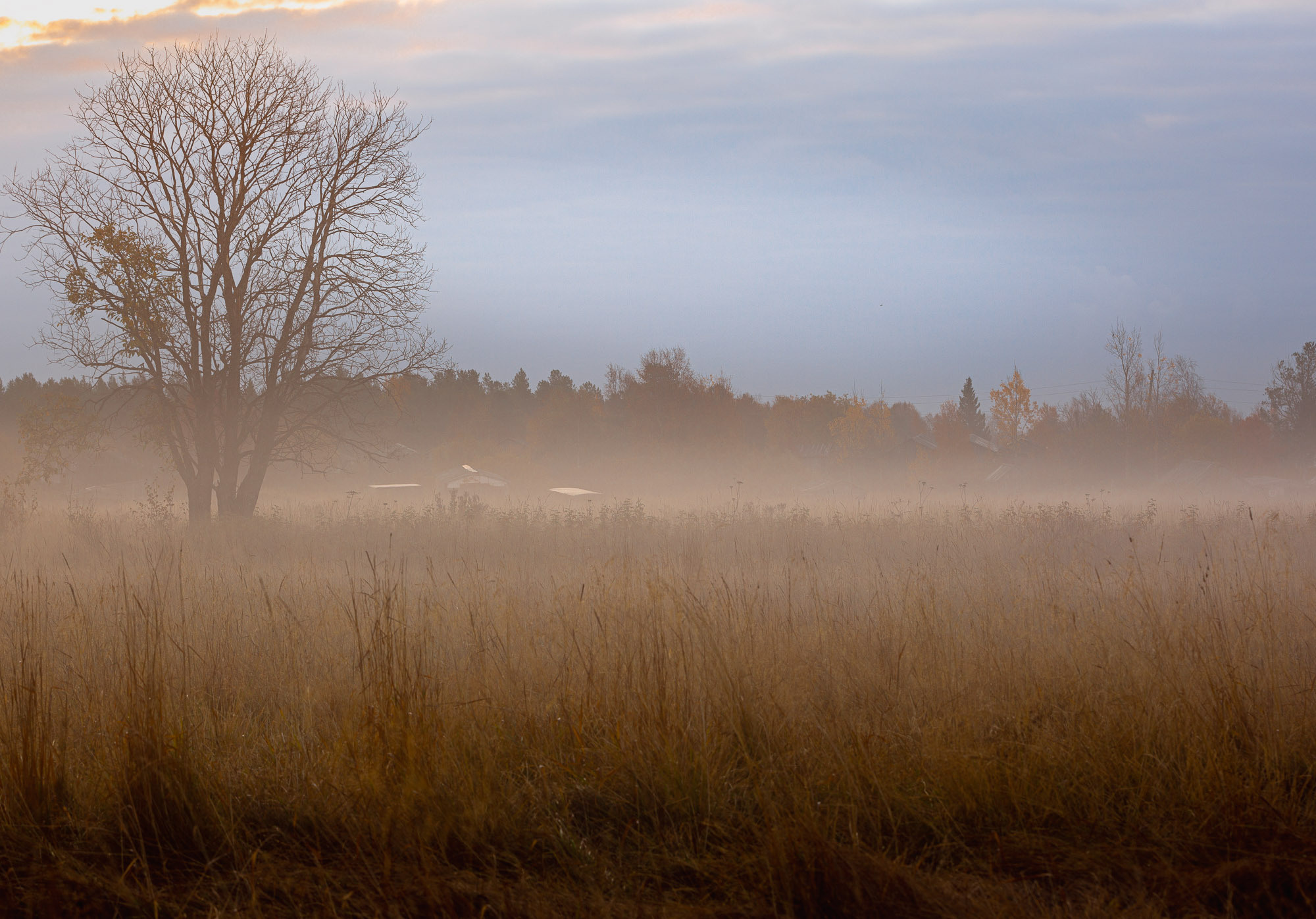 Ненокса. Фотограф — путешественник Светлана Романовская