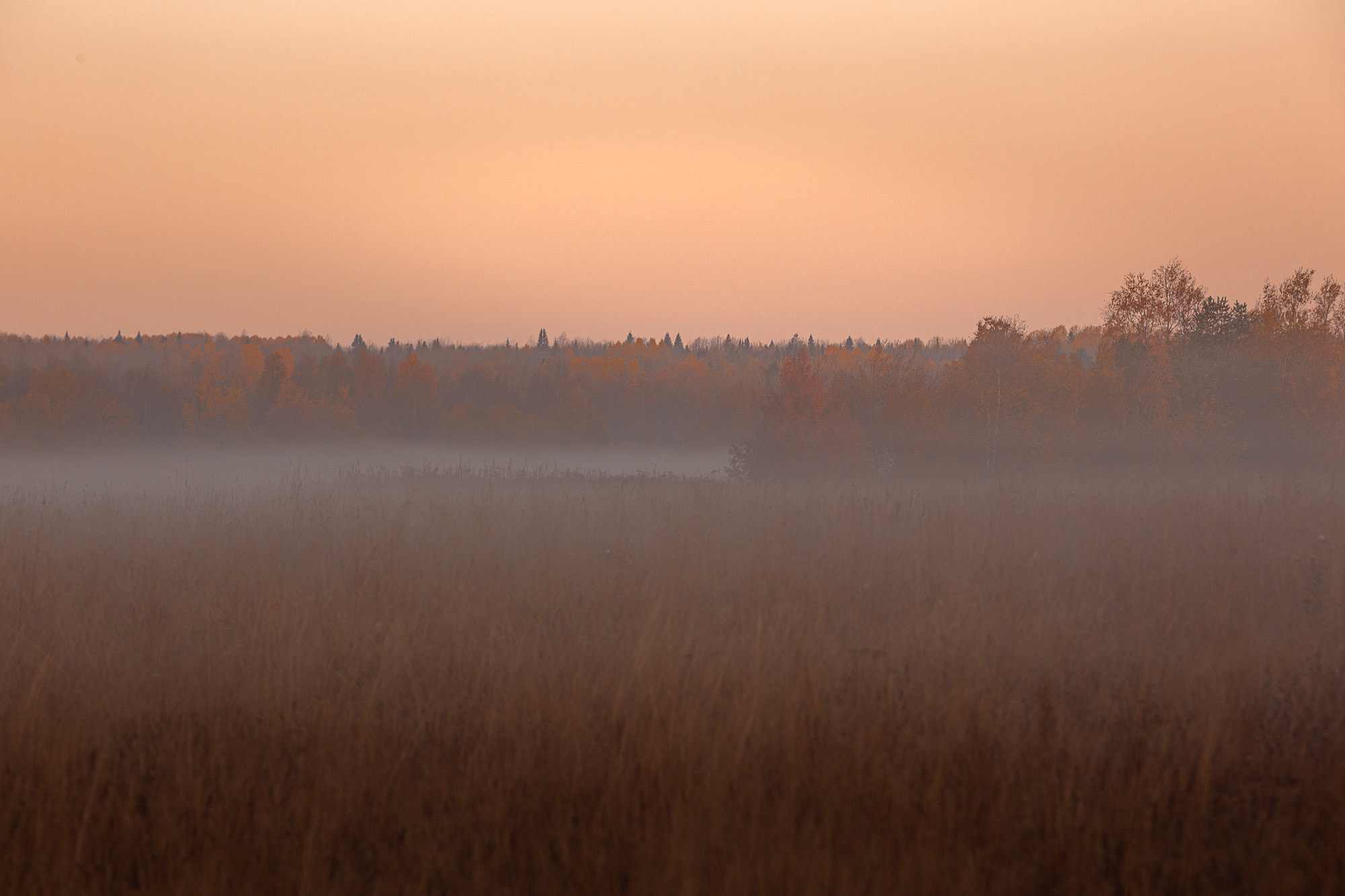 Ненокса. Фотограф — путешественник Светлана Романовская