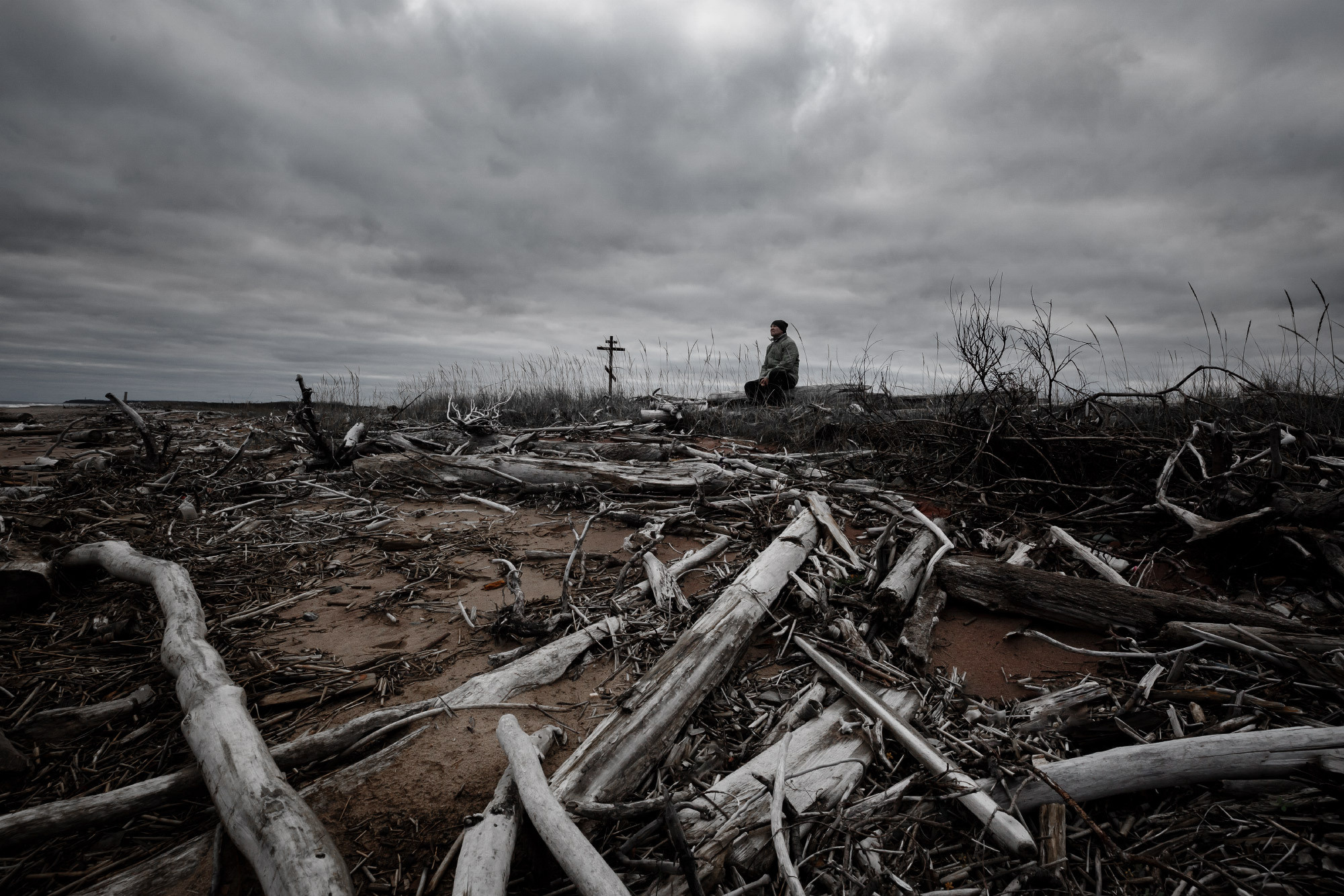 Плавник на берегу Белого моря. 