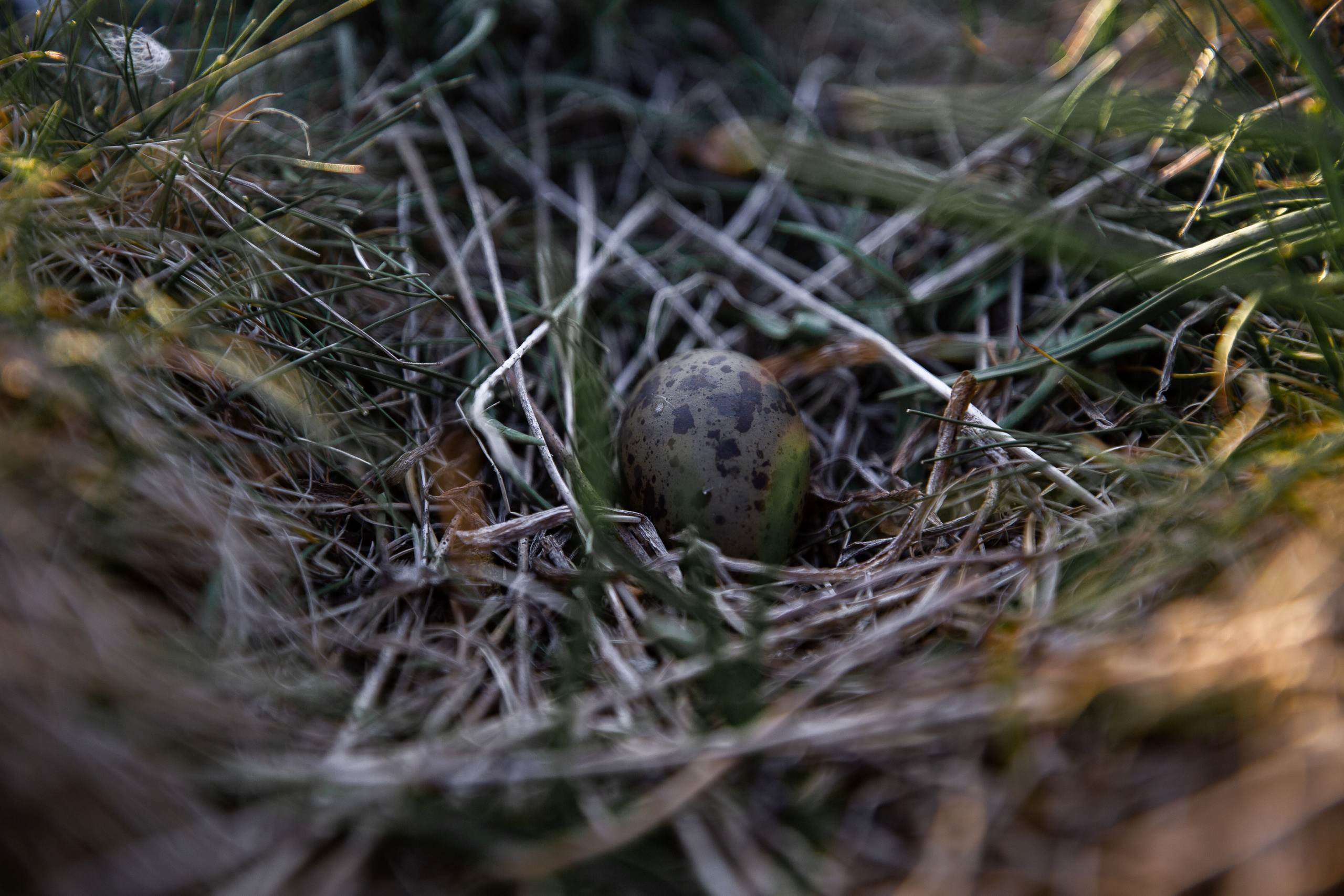 Кий остров. Фотограф — путешественник Светлана Романовская