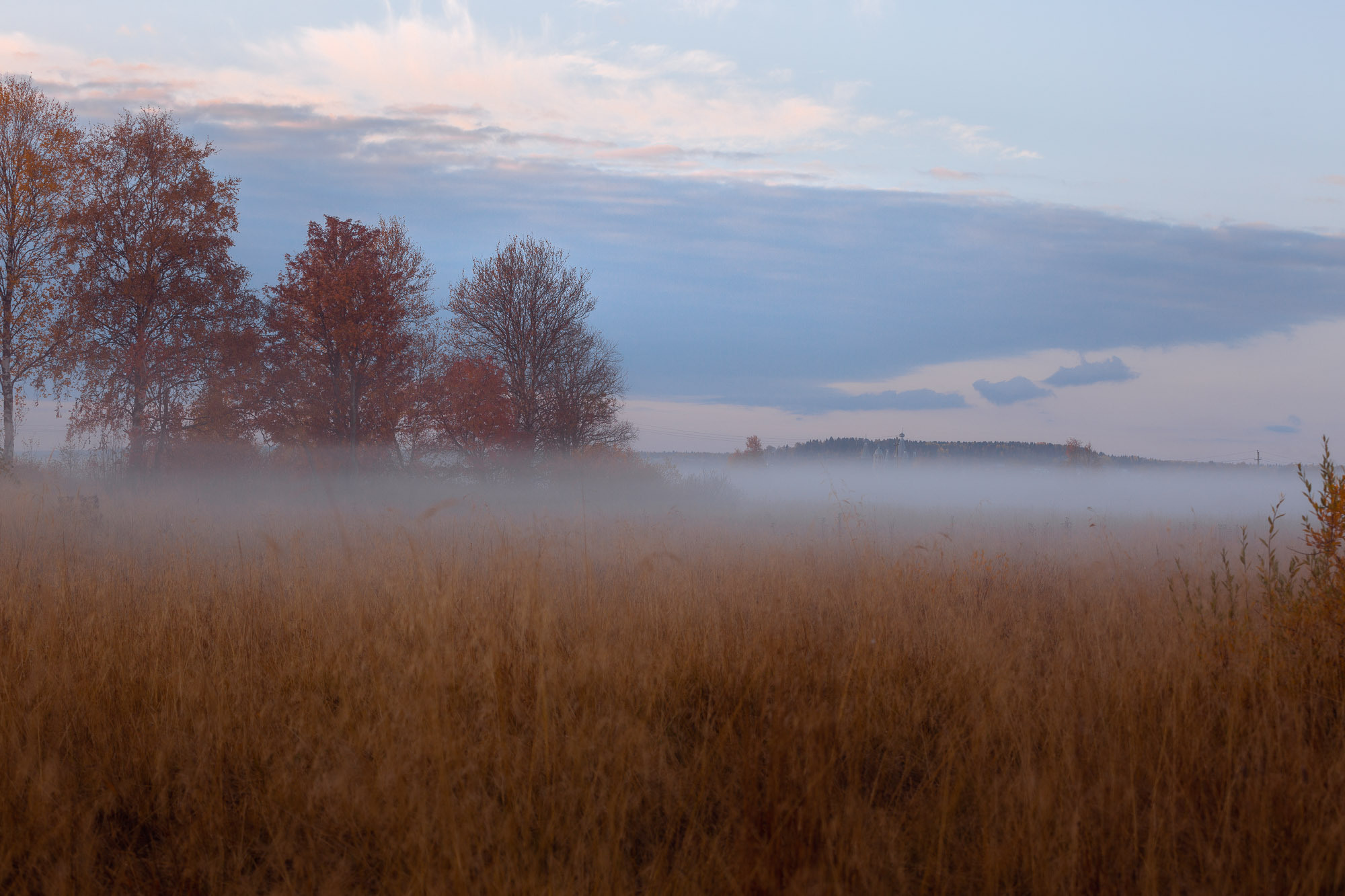 Ненокса. Фотограф — путешественник Светлана Романовская