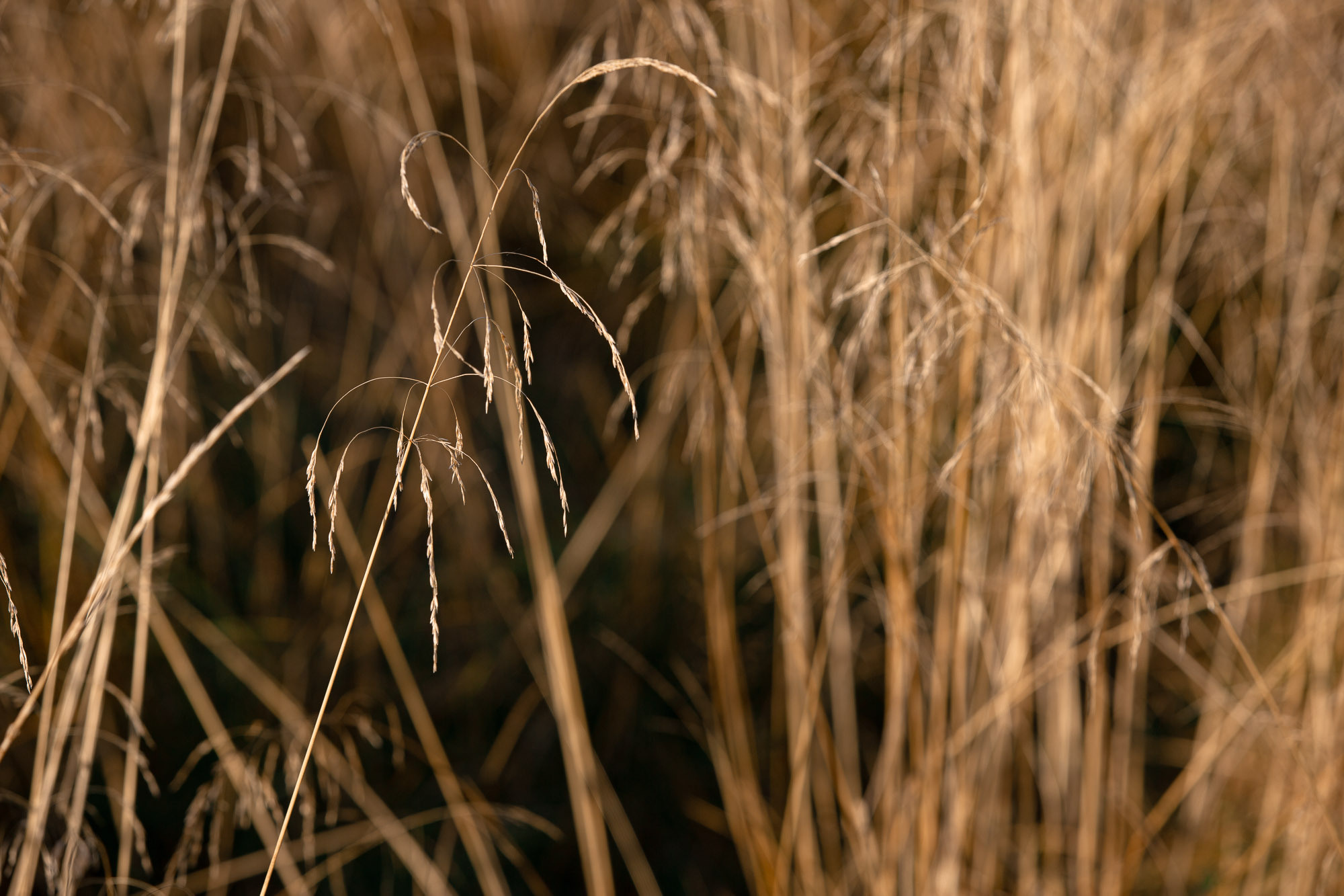 Ненокса. Фотограф — путешественник Светлана Романовская
