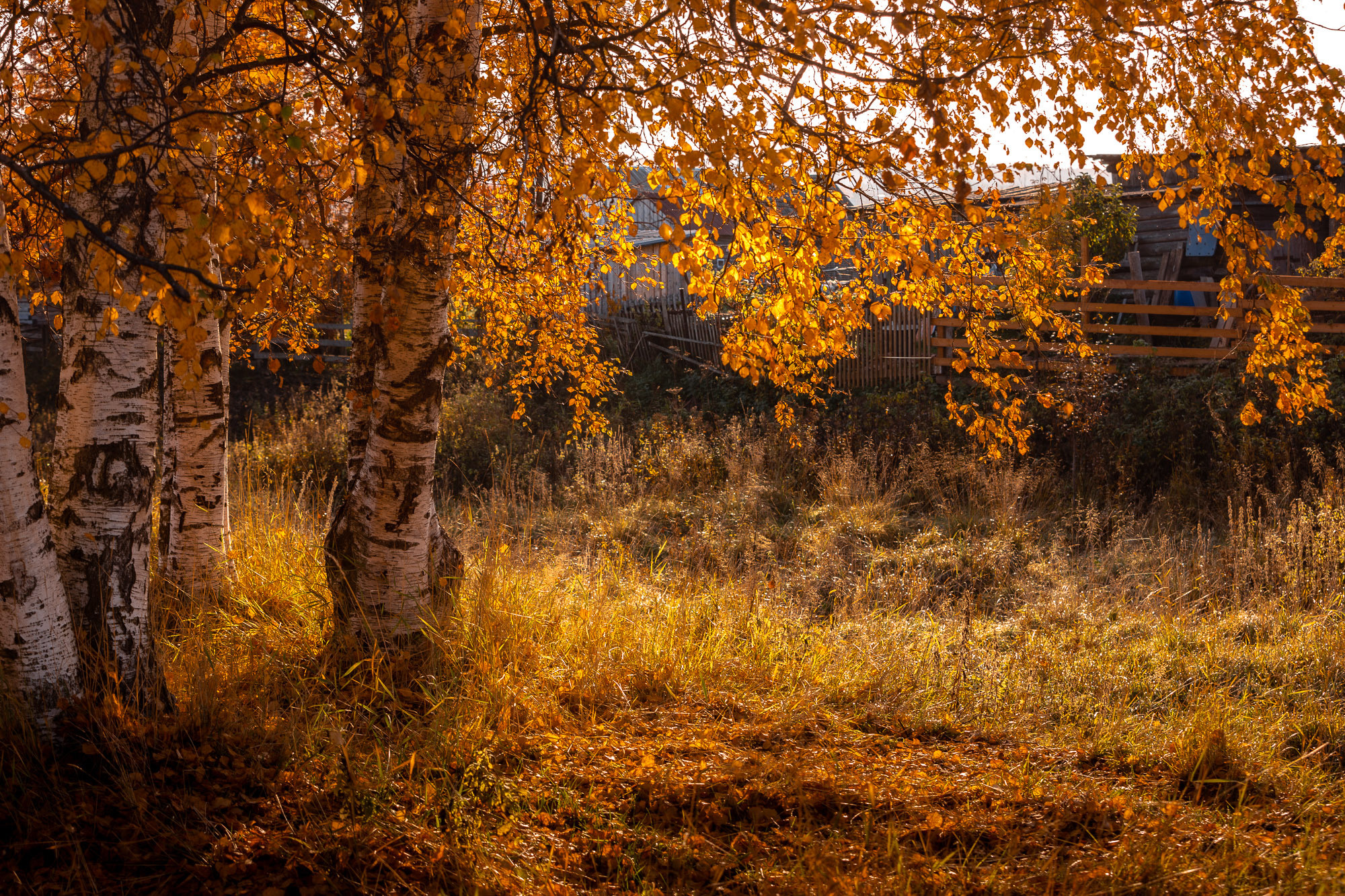 Ненокса. Фотограф — путешественник Светлана Романовская