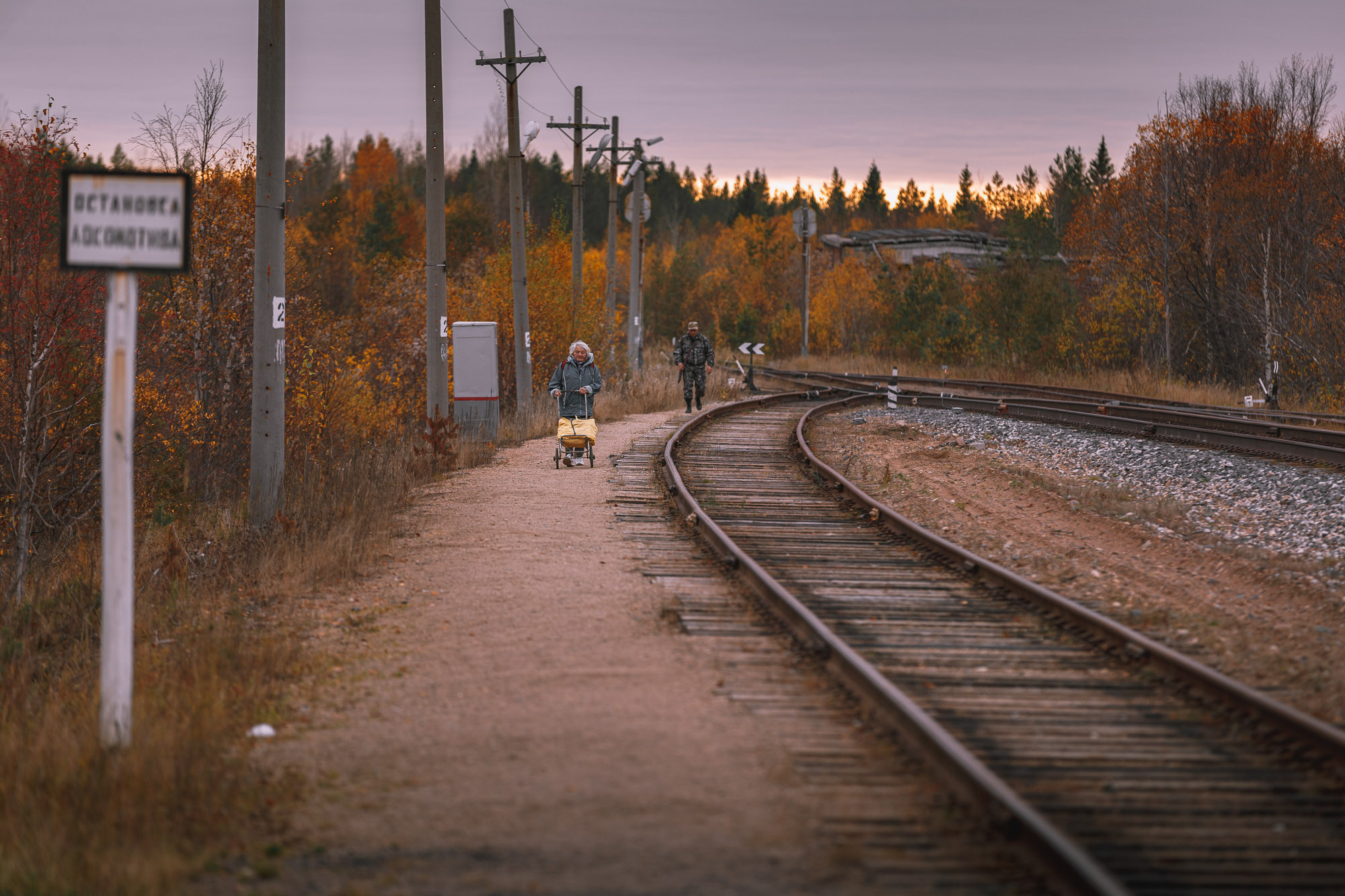железная дорога уходит вдаль. Женщина везёт тележку с вещами. 