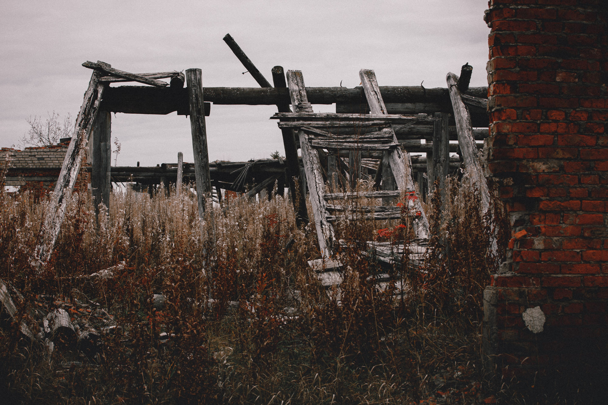 старая лестница в заброшенном поле с жухлой травой.. 