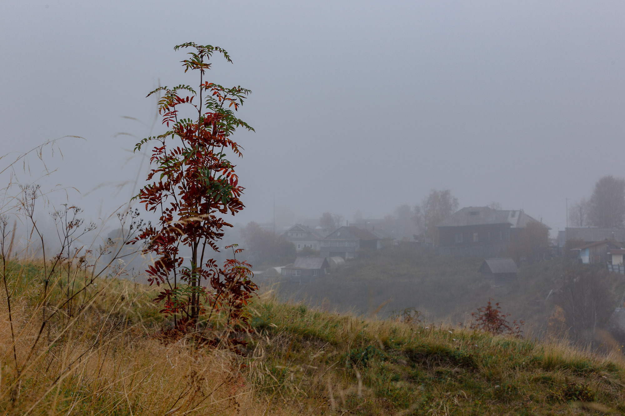 Ненокса. Фотограф — путешественник Светлана Романовская