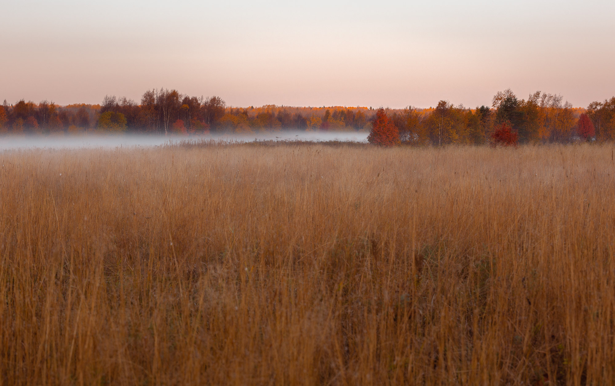 Ненокса. Фотограф — путешественник Светлана Романовская