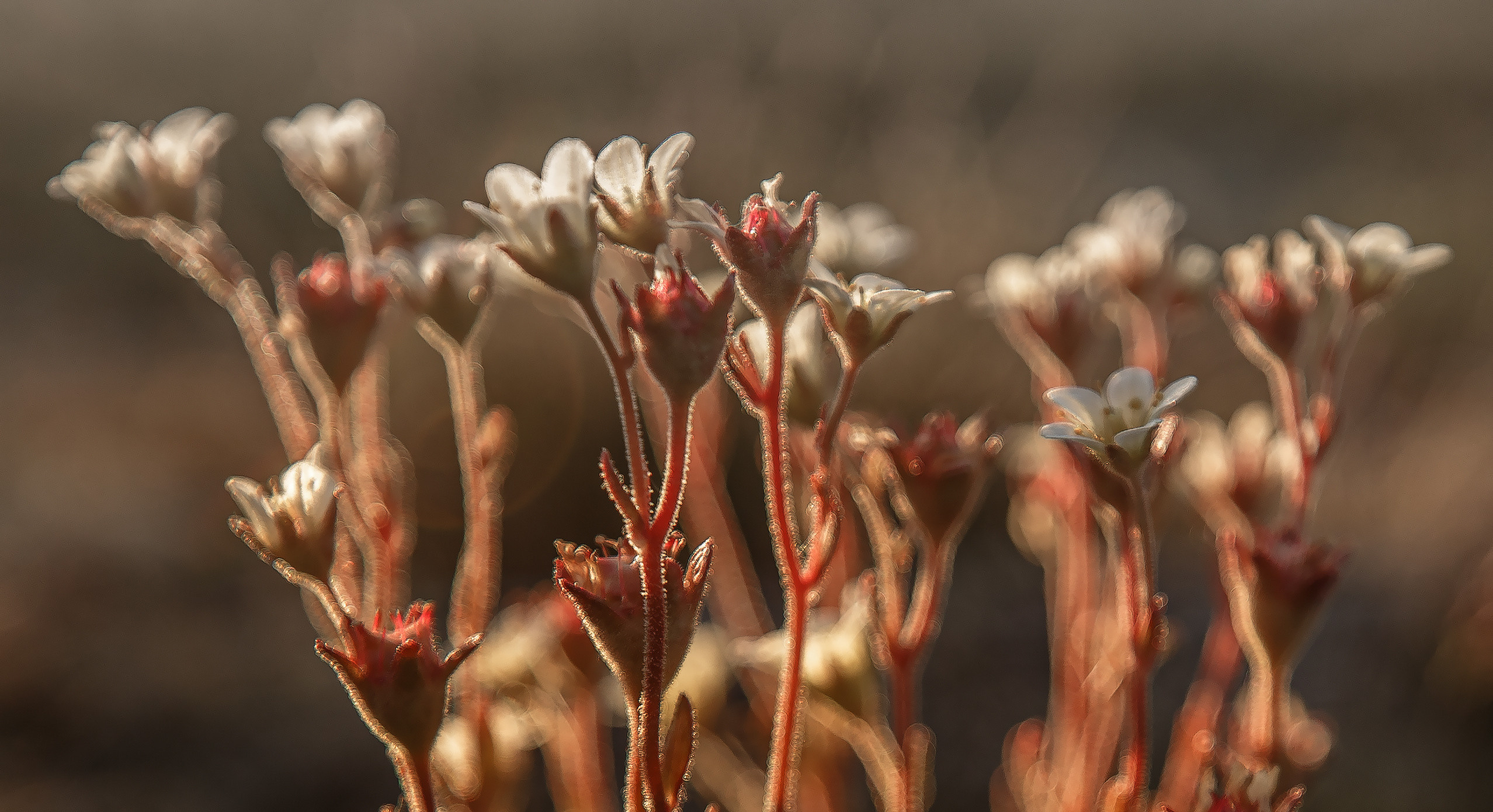 Кий остров. Фотограф — путешественник Светлана Романовская