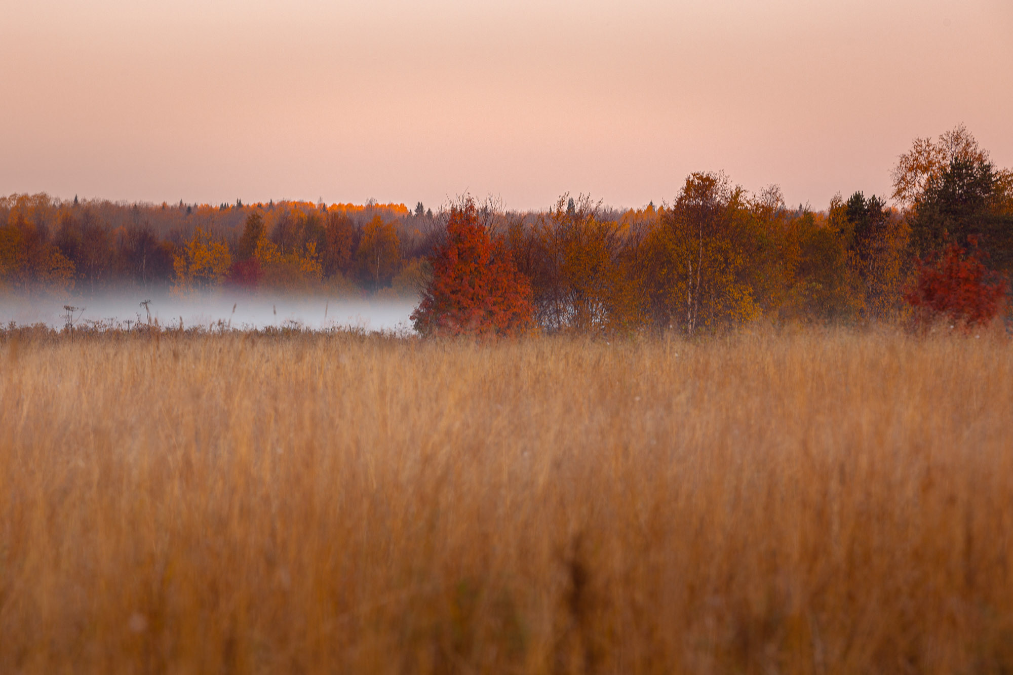 Ненокса. Фотограф — путешественник Светлана Романовская