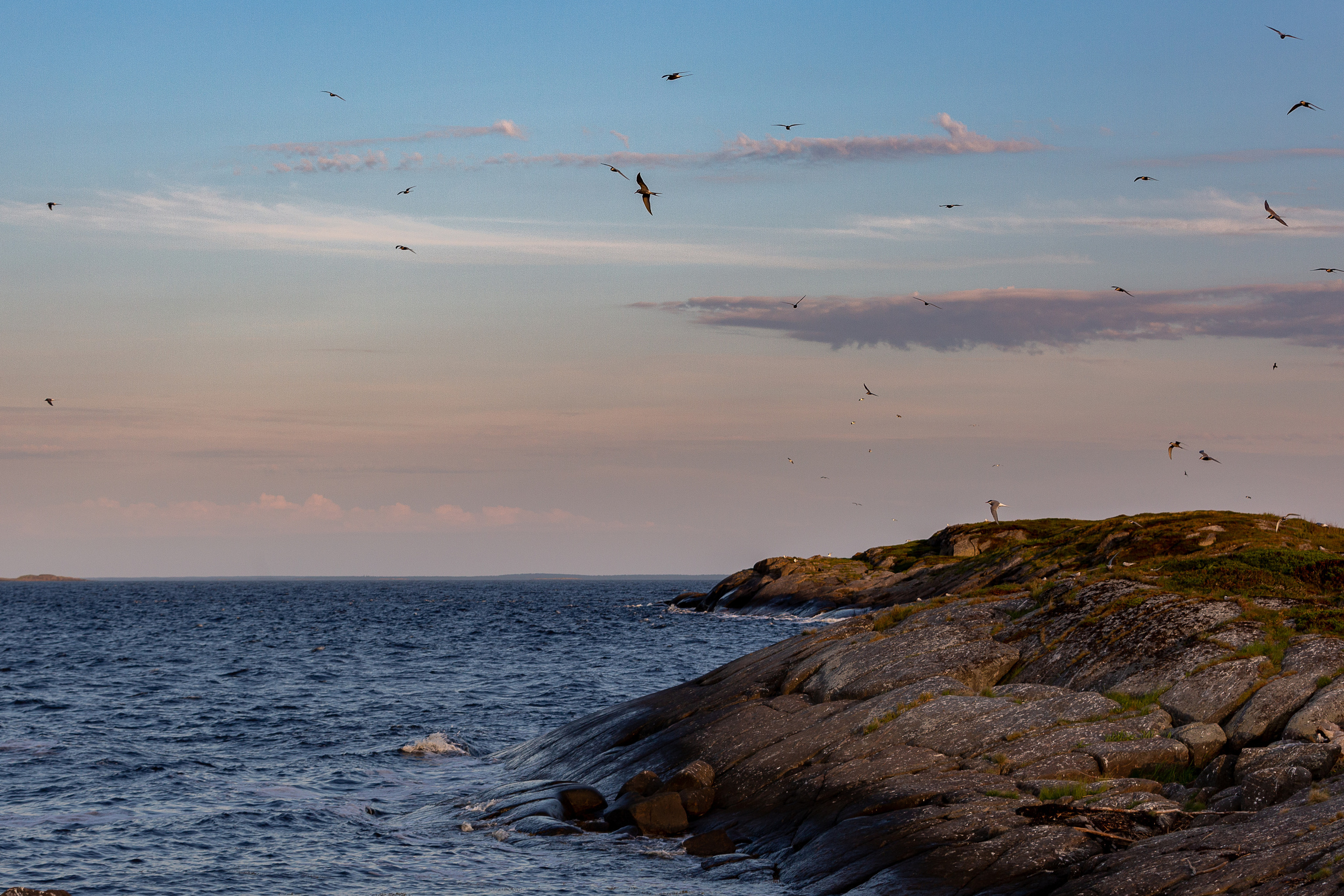 Кий остров. Фотограф — путешественник Светлана Романовская