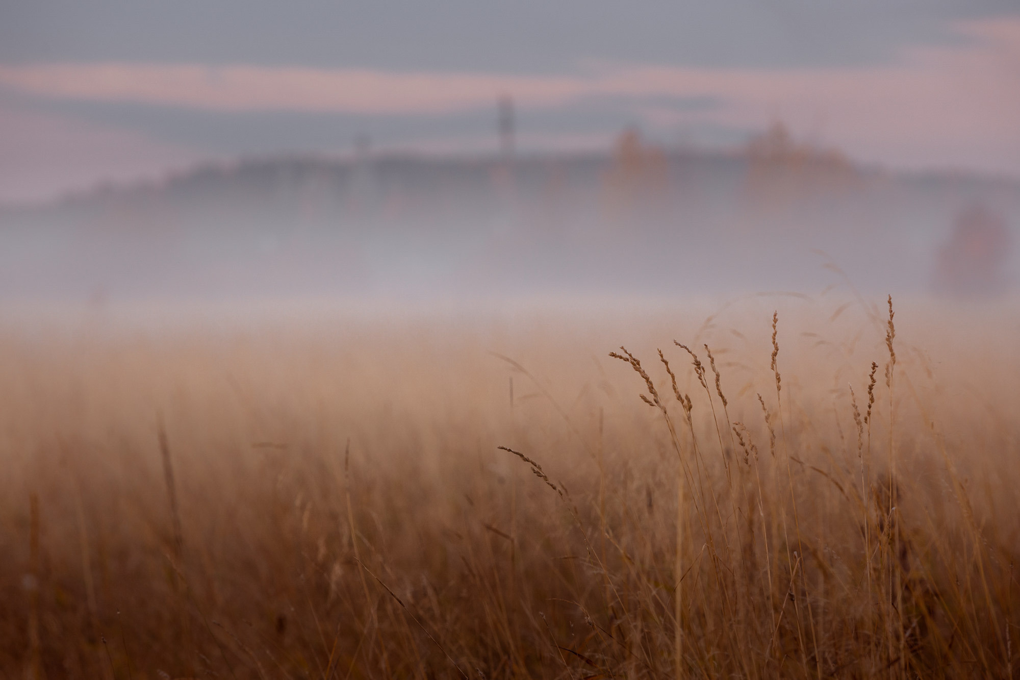 Ненокса. Фотограф — путешественник Светлана Романовская