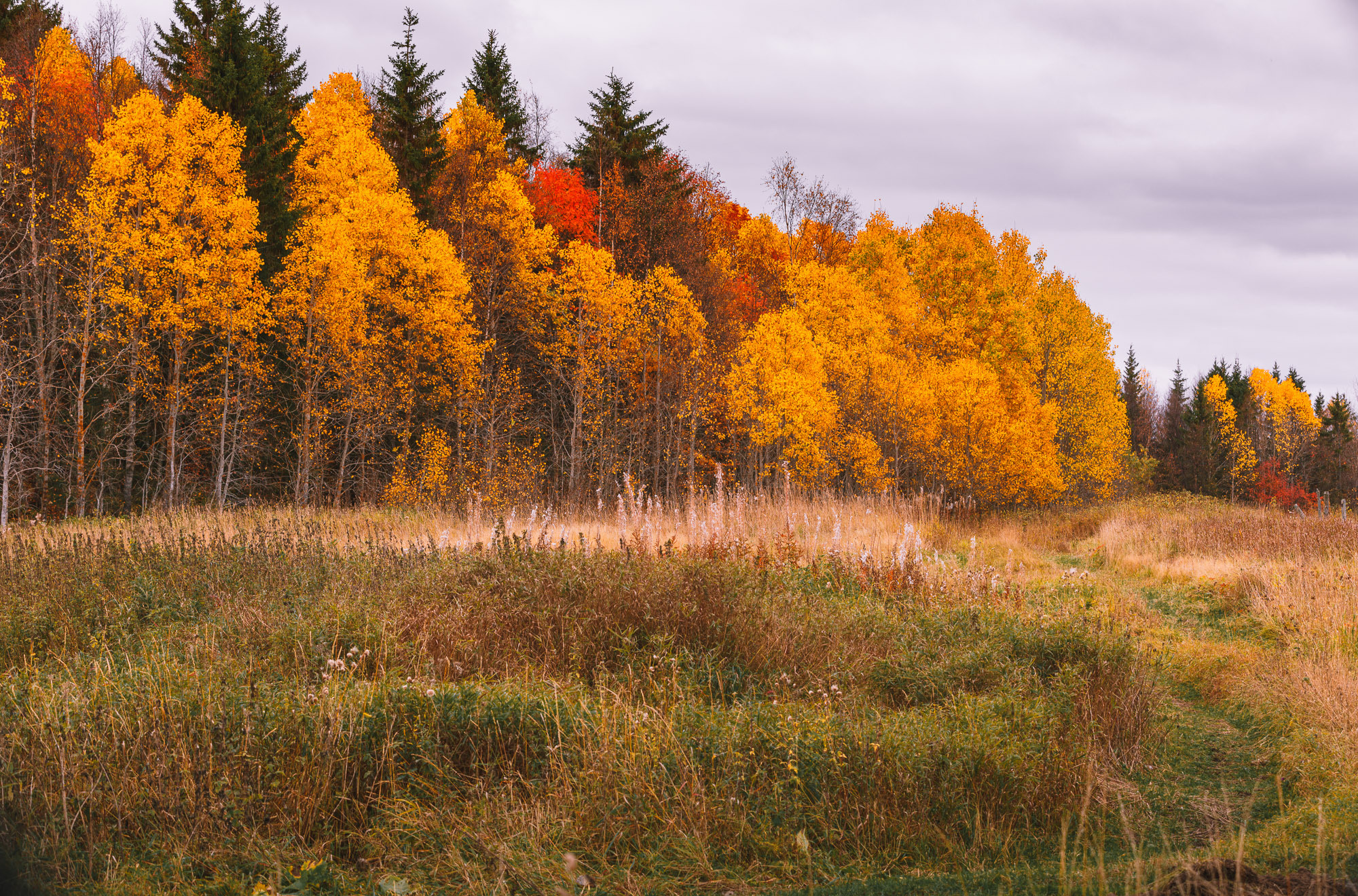 Ненокса. Фотограф — путешественник Светлана Романовская
