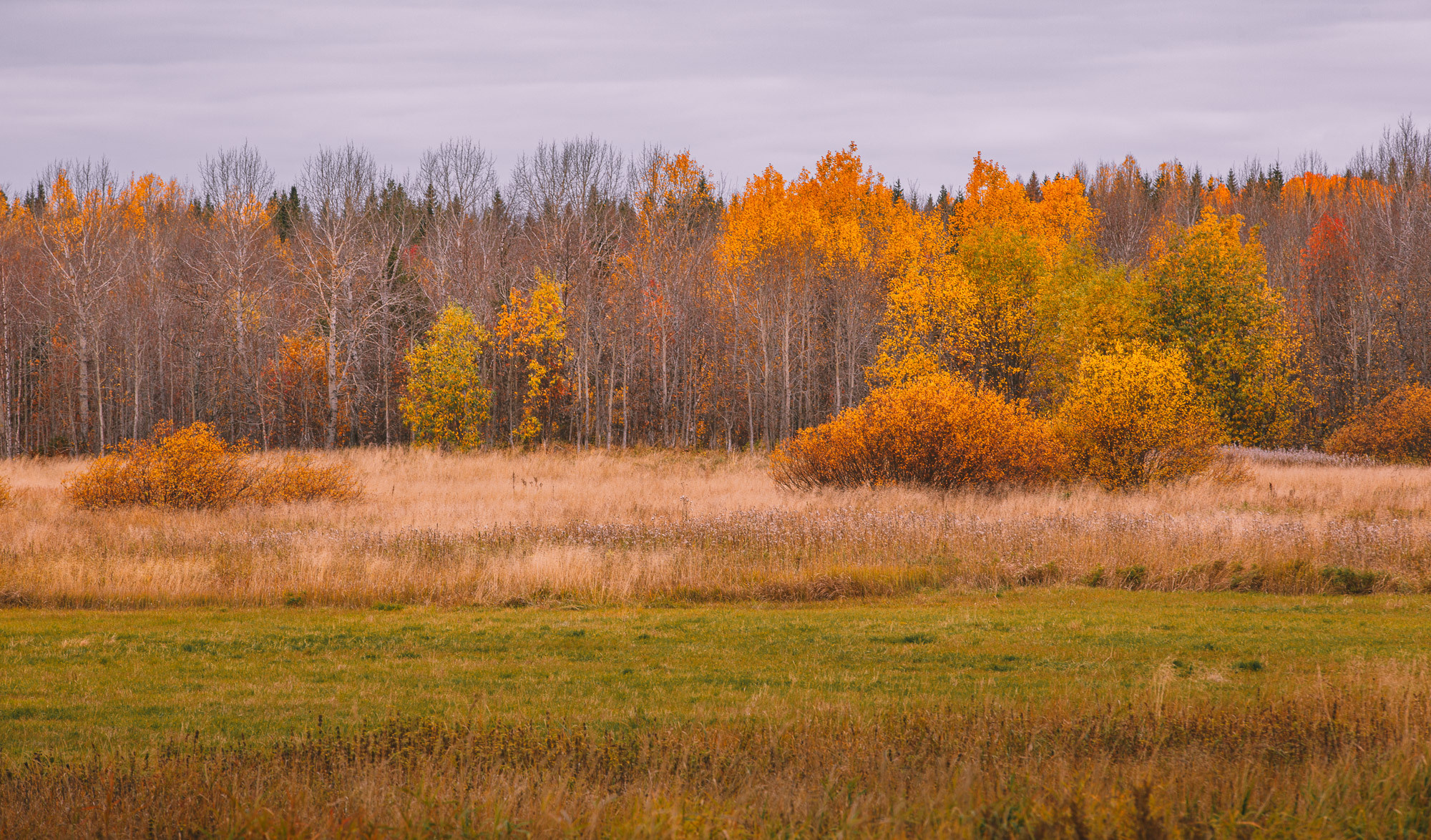 Ненокса. Фотограф — путешественник Светлана Романовская