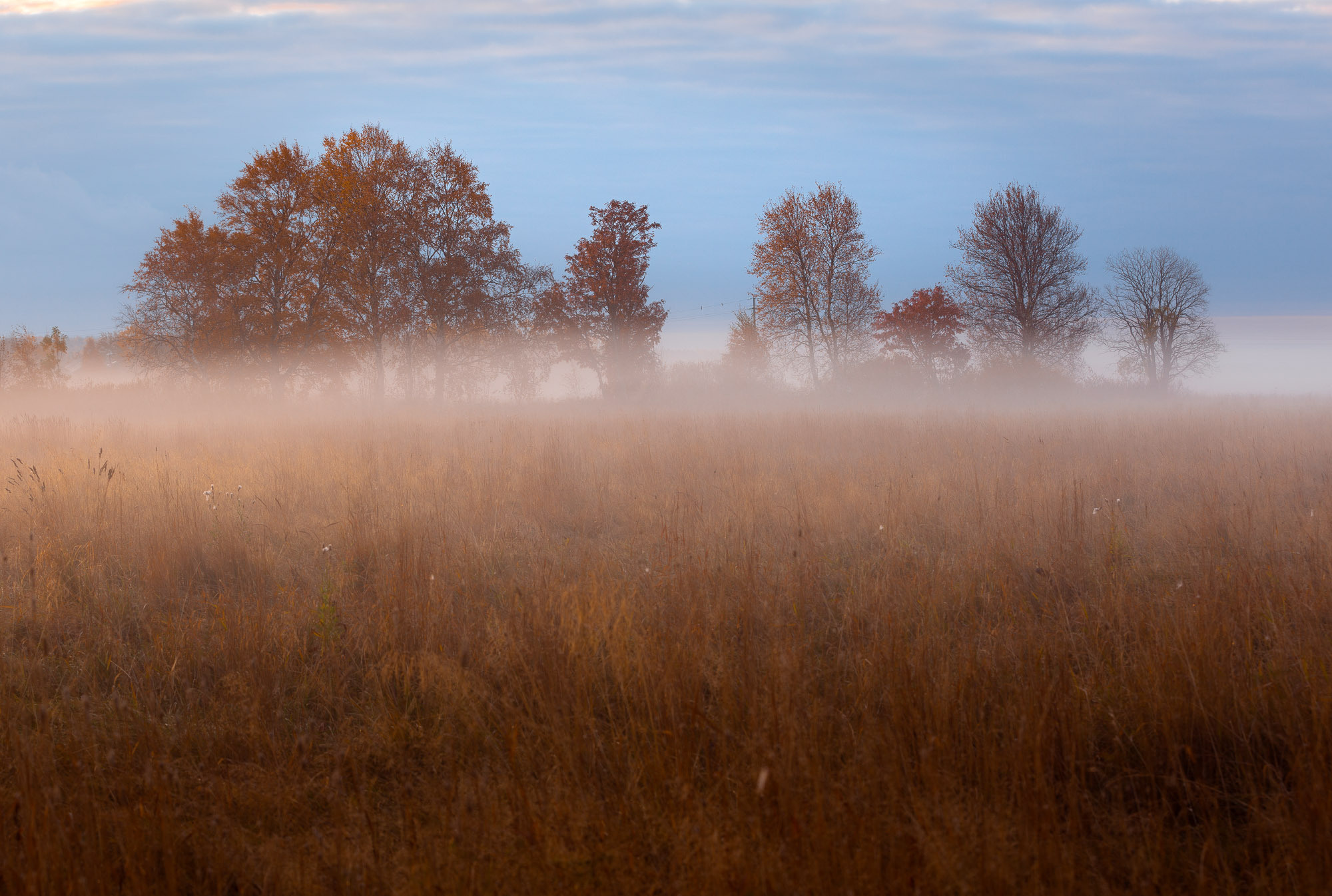 Ненокса. Фотограф — путешественник Светлана Романовская