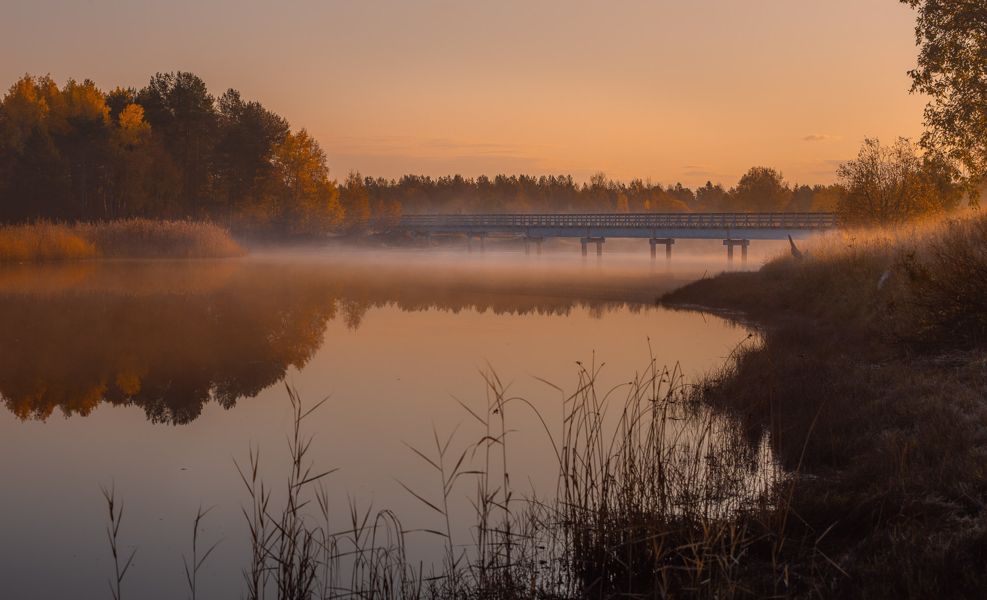 Ненокса. Фотограф — путешественник Светлана Романовская