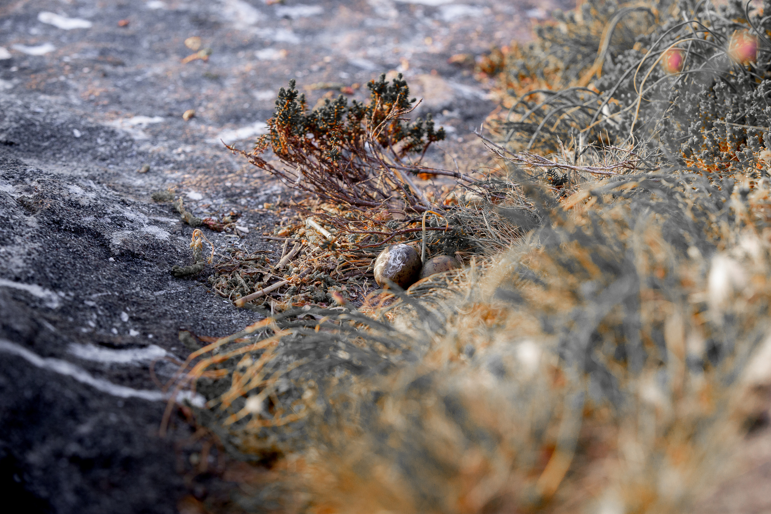 Кий остров. Фотограф — путешественник Светлана Романовская