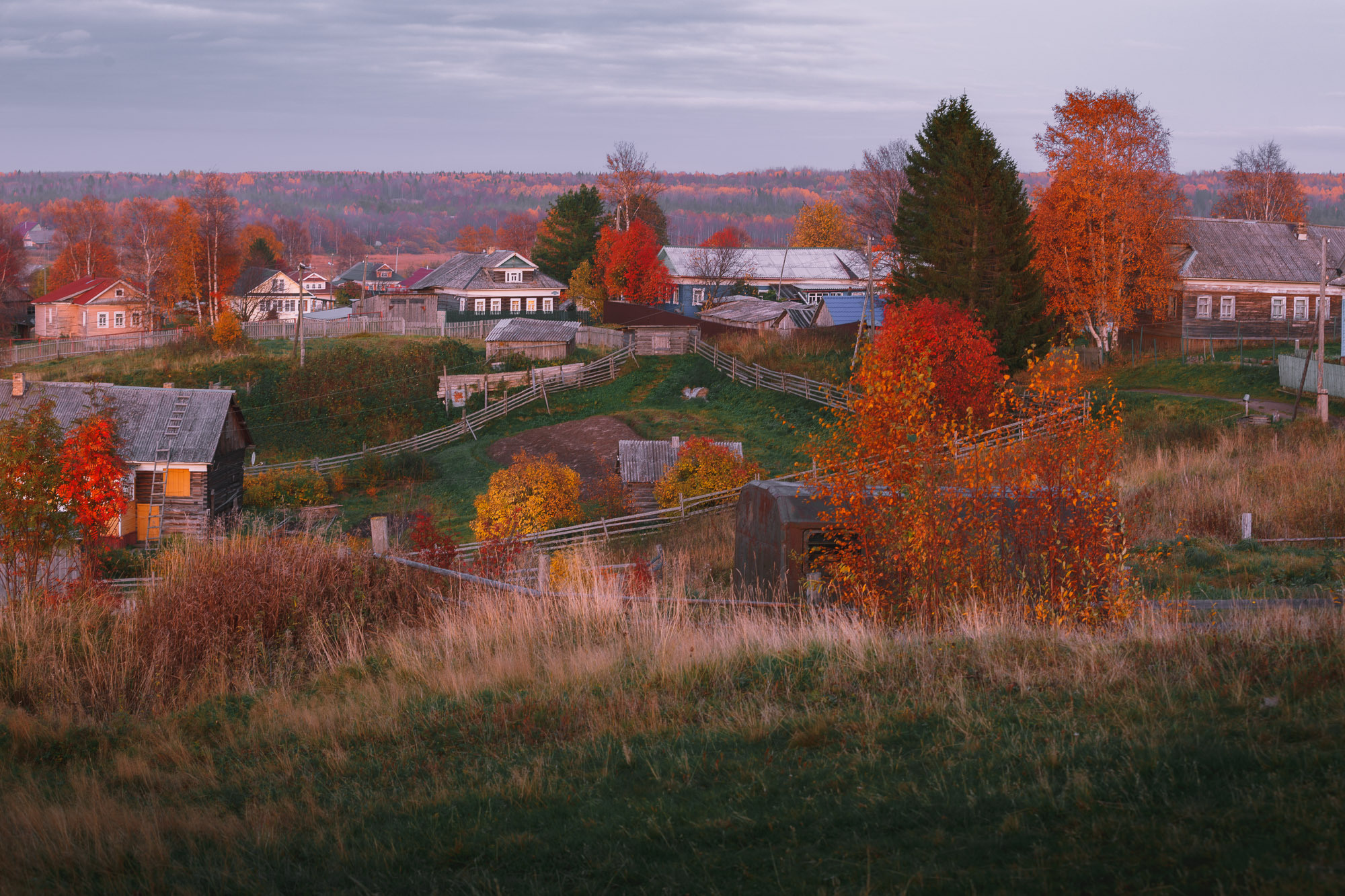 Осенние деревья в поморской деревне. 