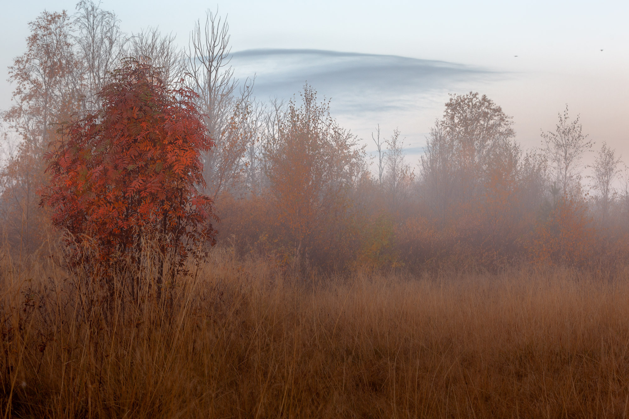 Ненокса. Фотограф — путешественник Светлана Романовская