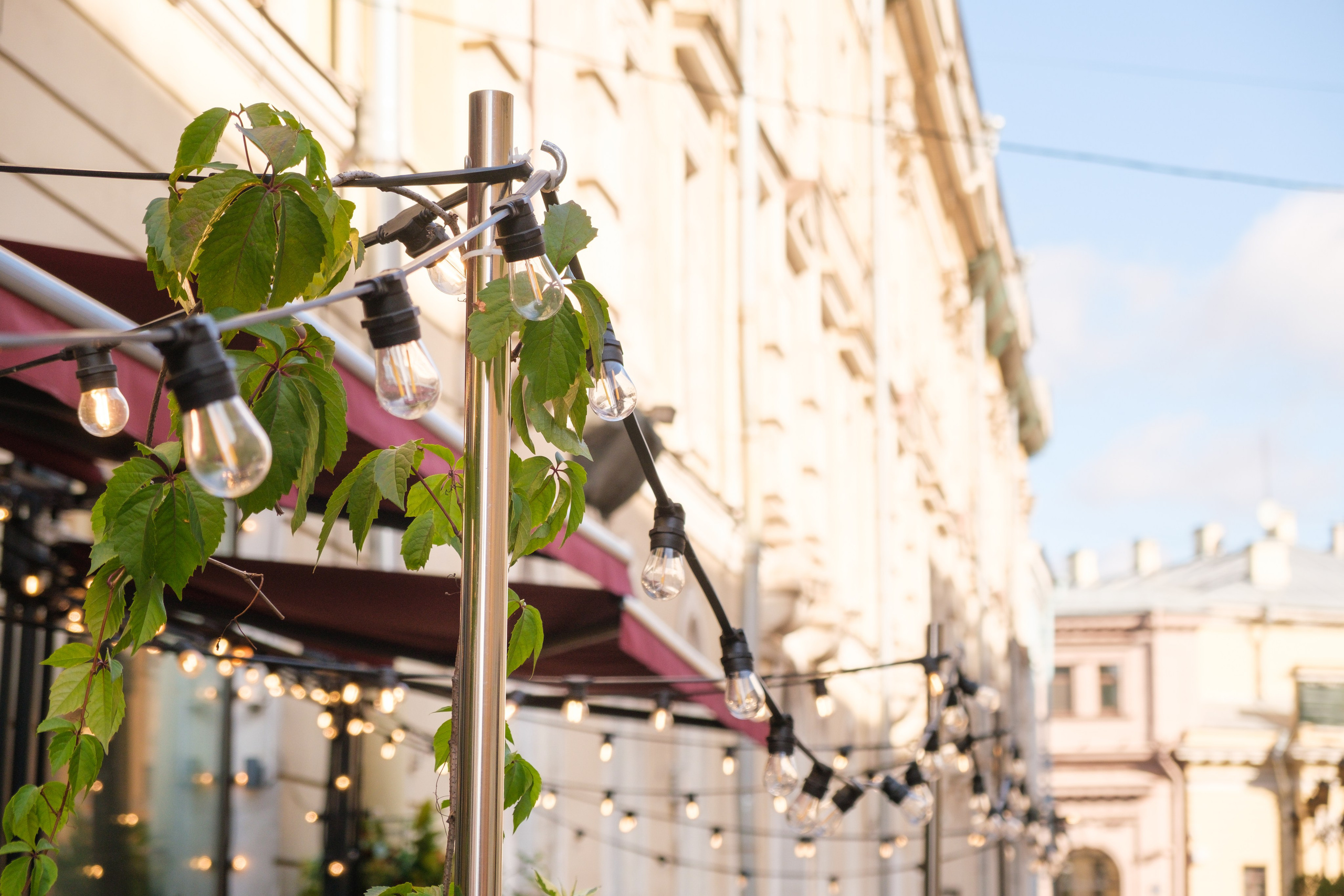 Озеленение