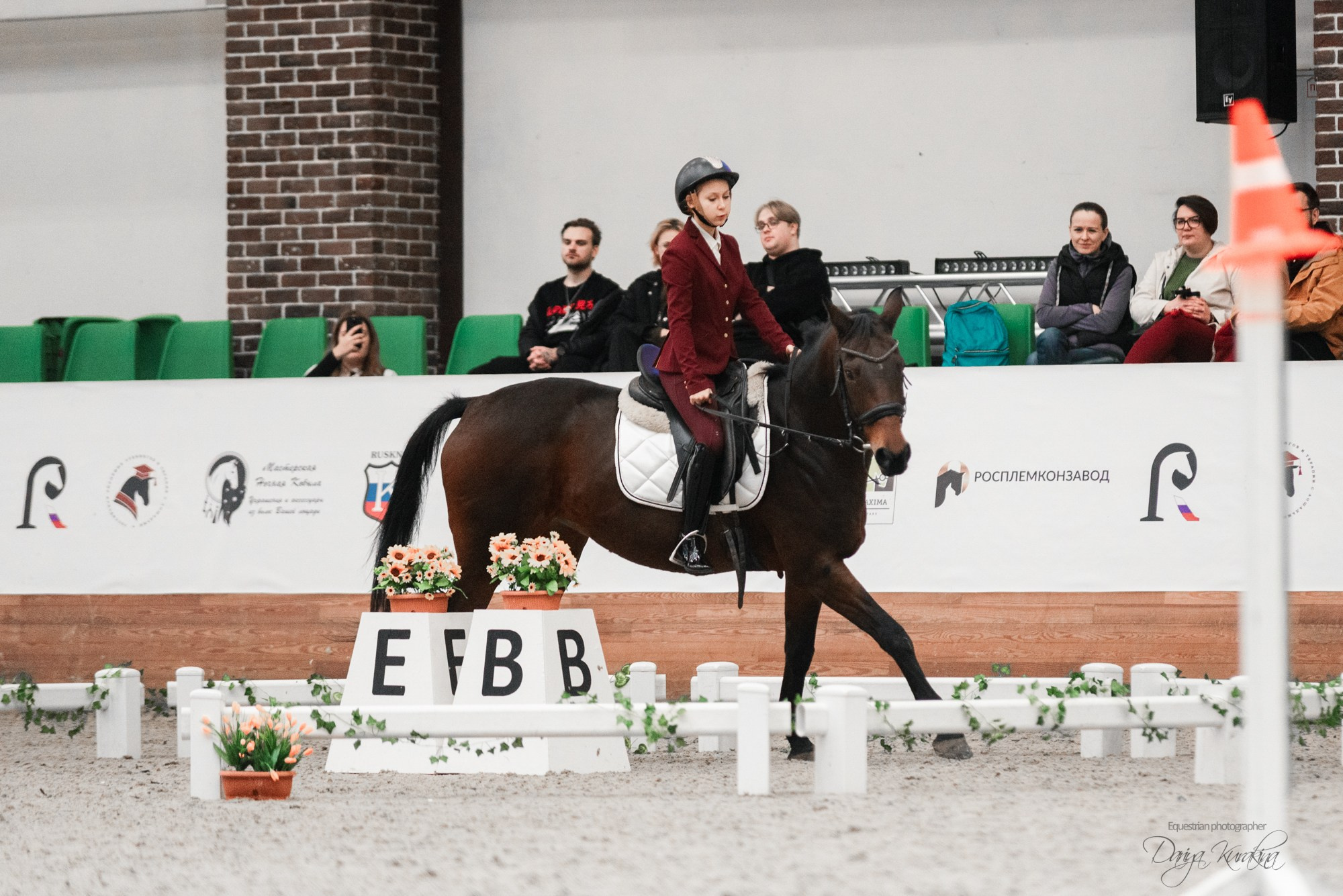 8-я международная выставка Конная Россия. Конный фотограф Куракина Дарья • Фотосессии с лошадьми