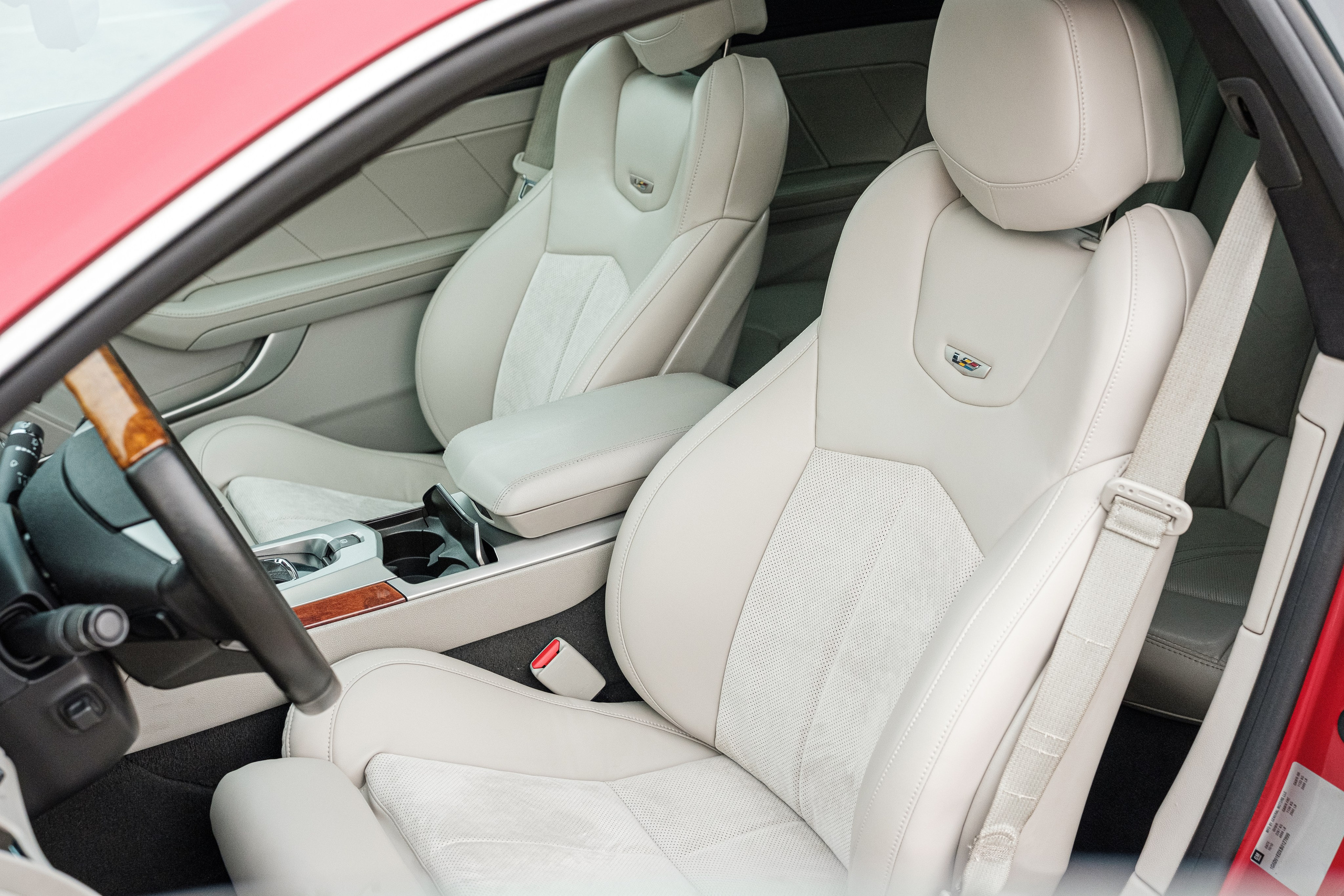 Кэдди. Алексей Никифоров фотограф Москва, Химки