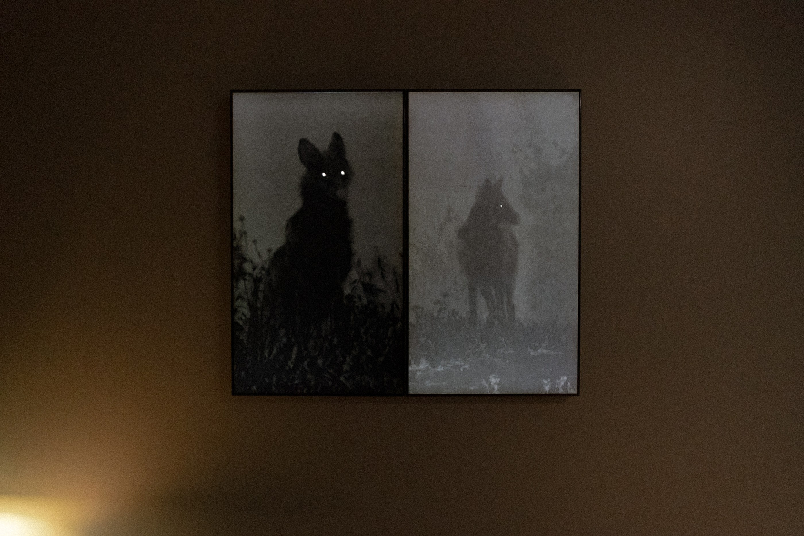 В стране чудес. ROMA GORBATOVSKY