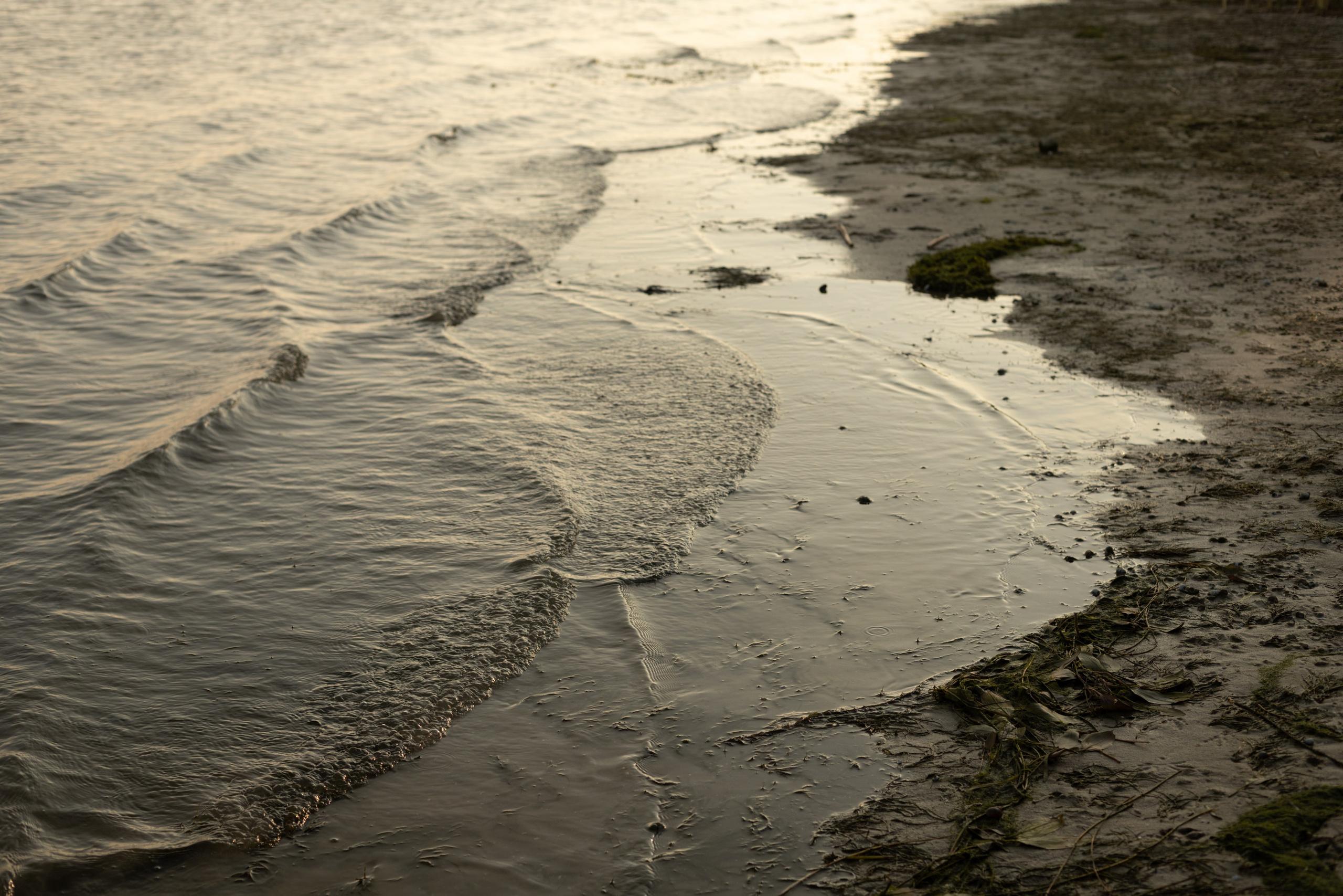 Виктория и Эмилия. Фотограф в Ростове-на-Дону Мария Безменова