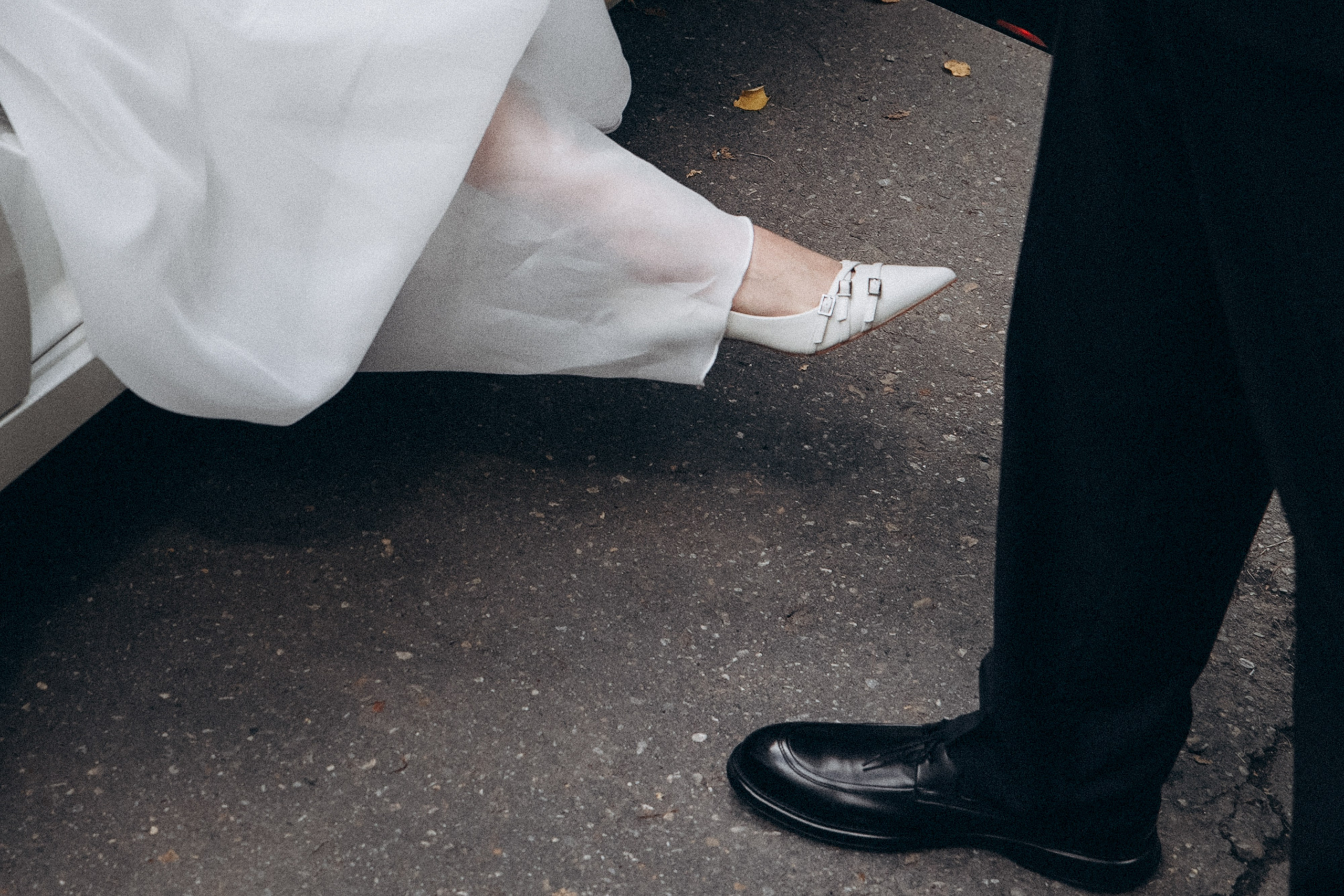 Маргарита и Артур. Фотограф анималист в Москве и Санкт-Петербурге Свиридова Анна