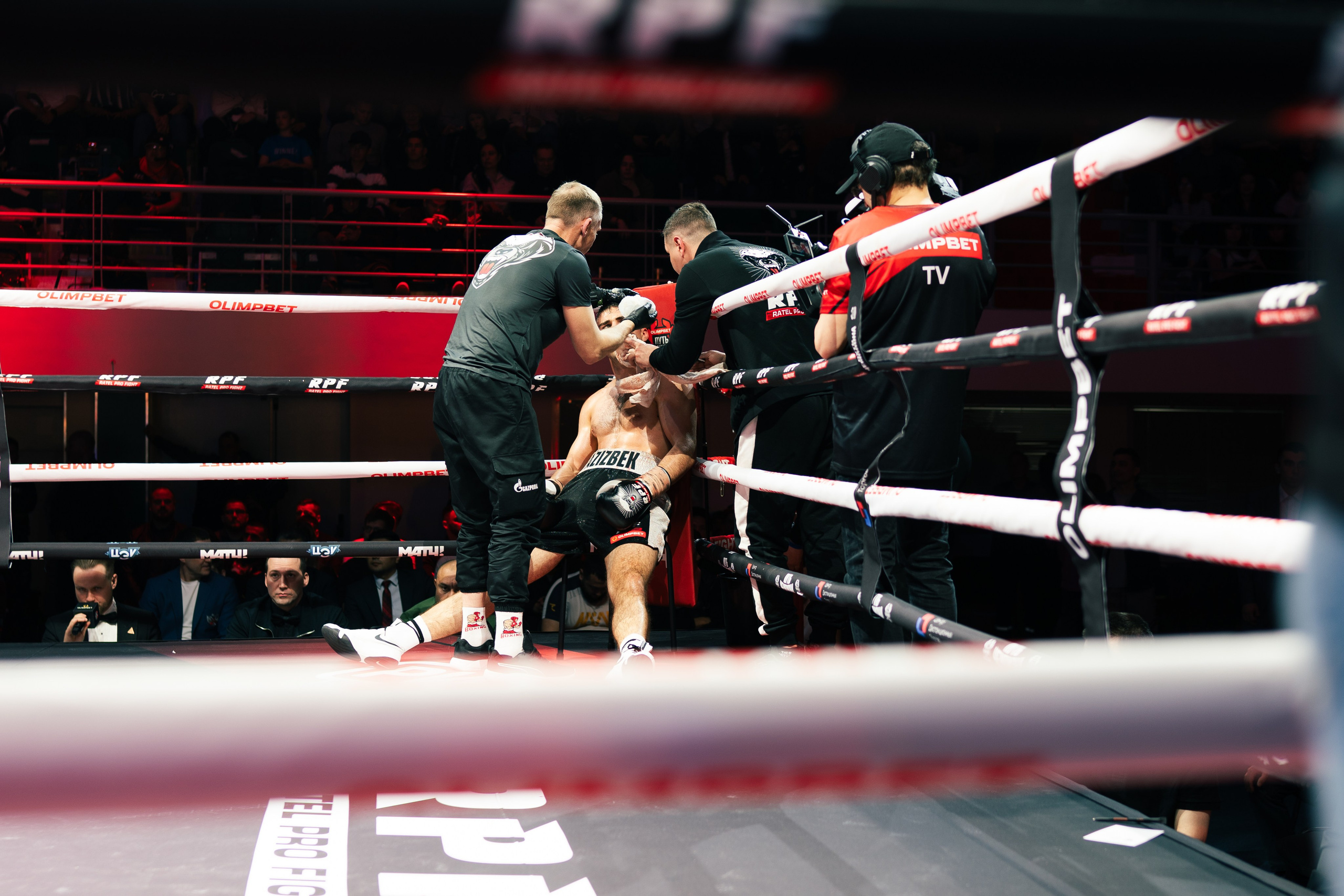 Бокс. Фотограф в СПБ Алмаз Камаев