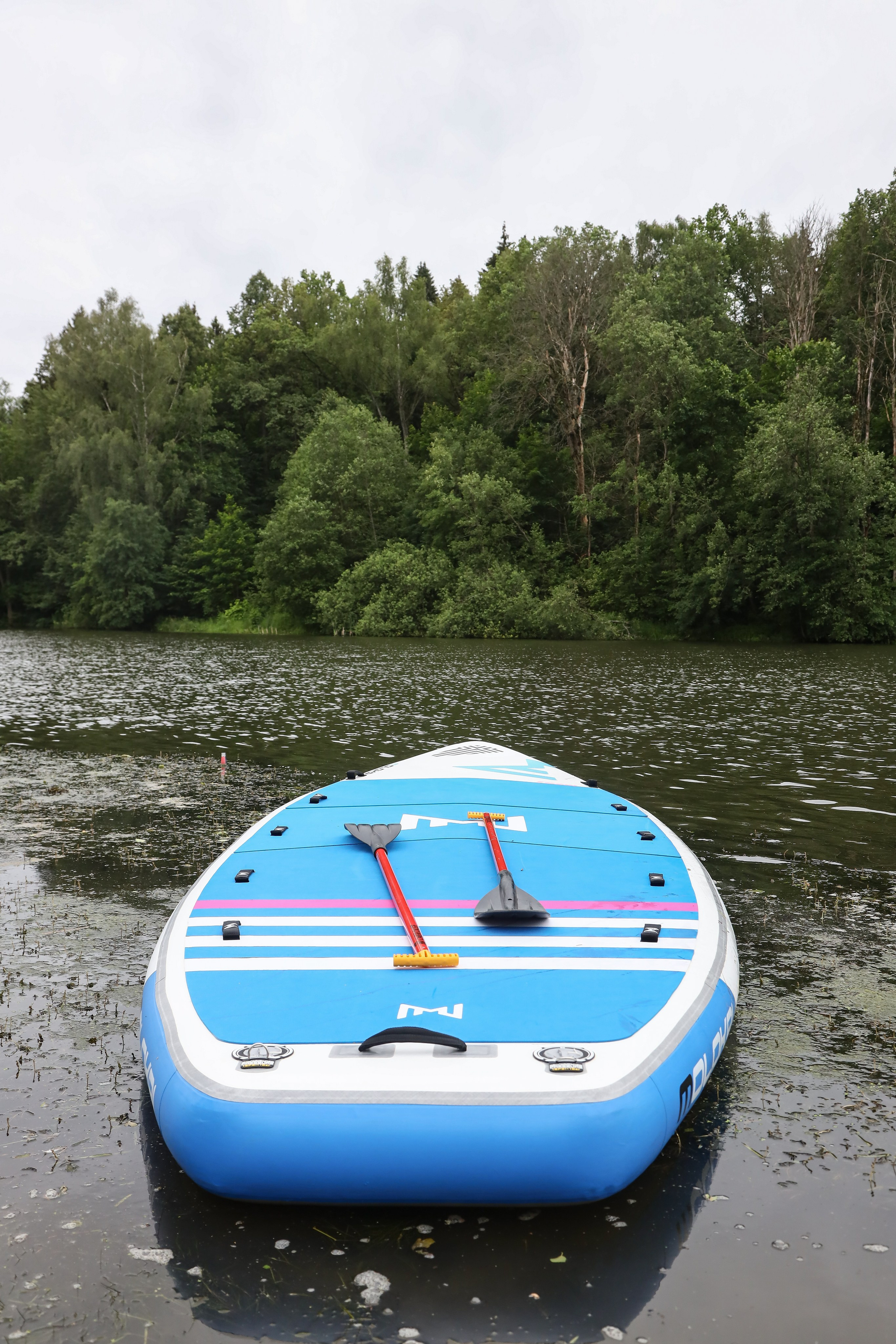 Летний корпоратив Arlight. Фотограф Антон Чупринин